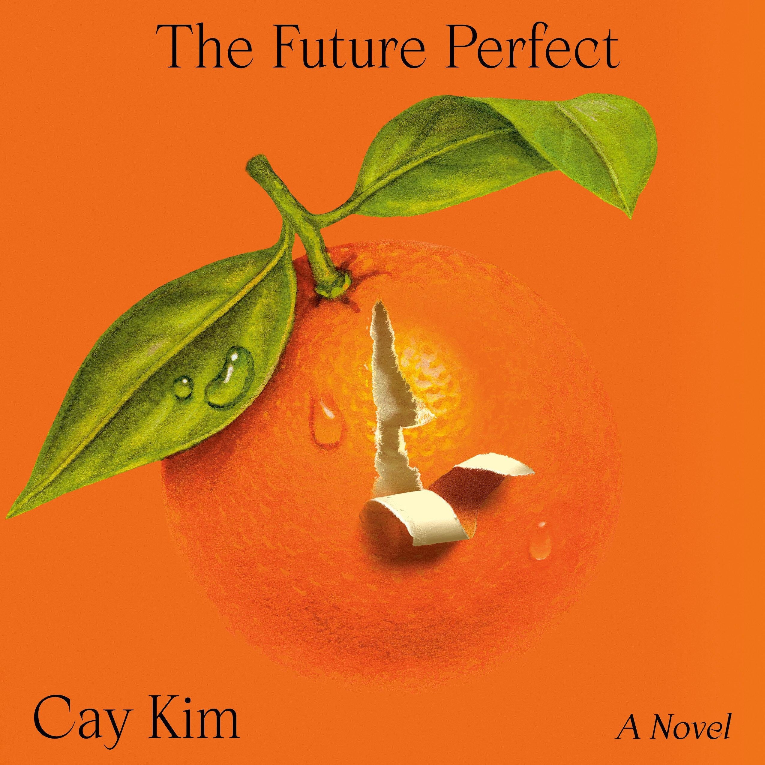 The Future Perfect