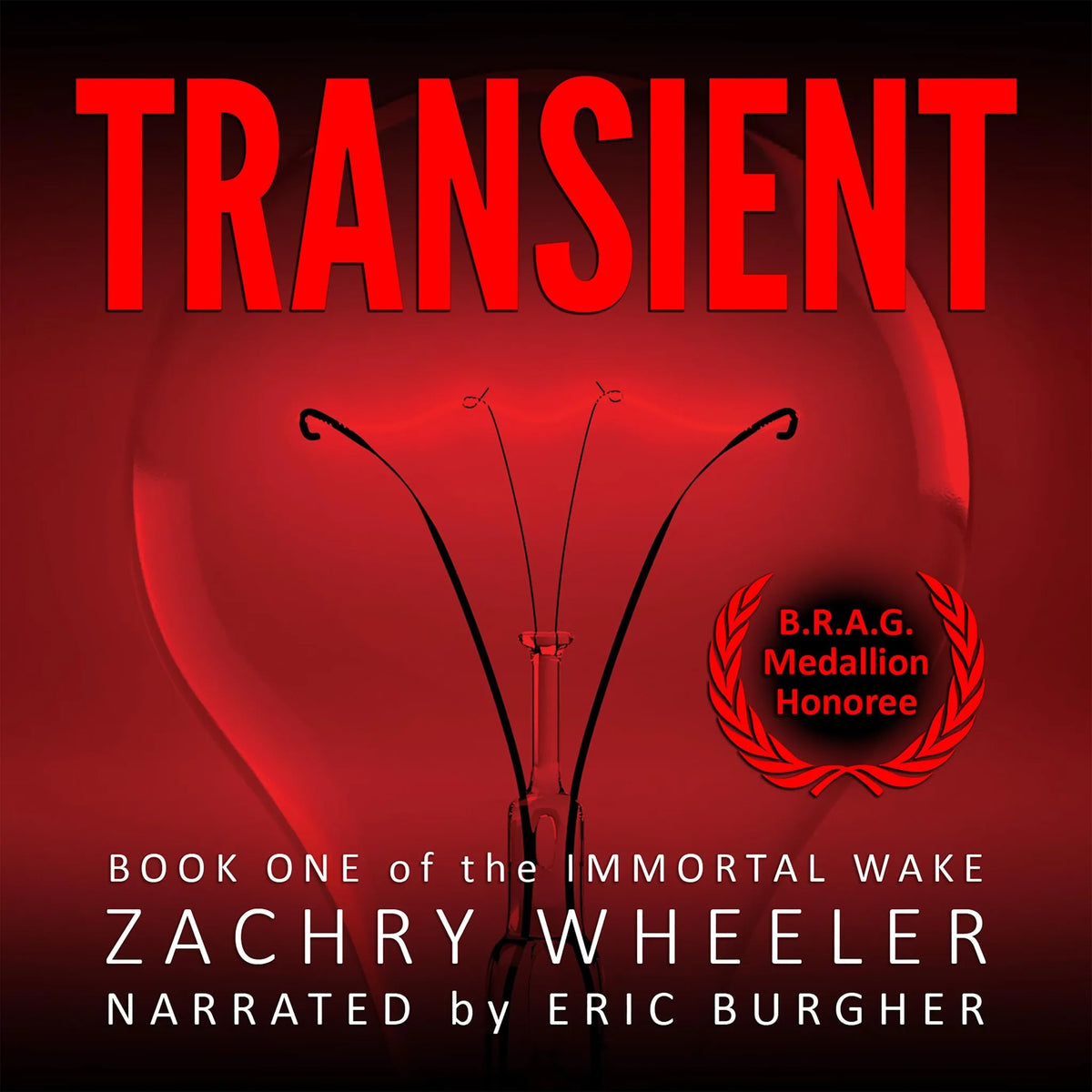 Transient: A Tech Noir Novel