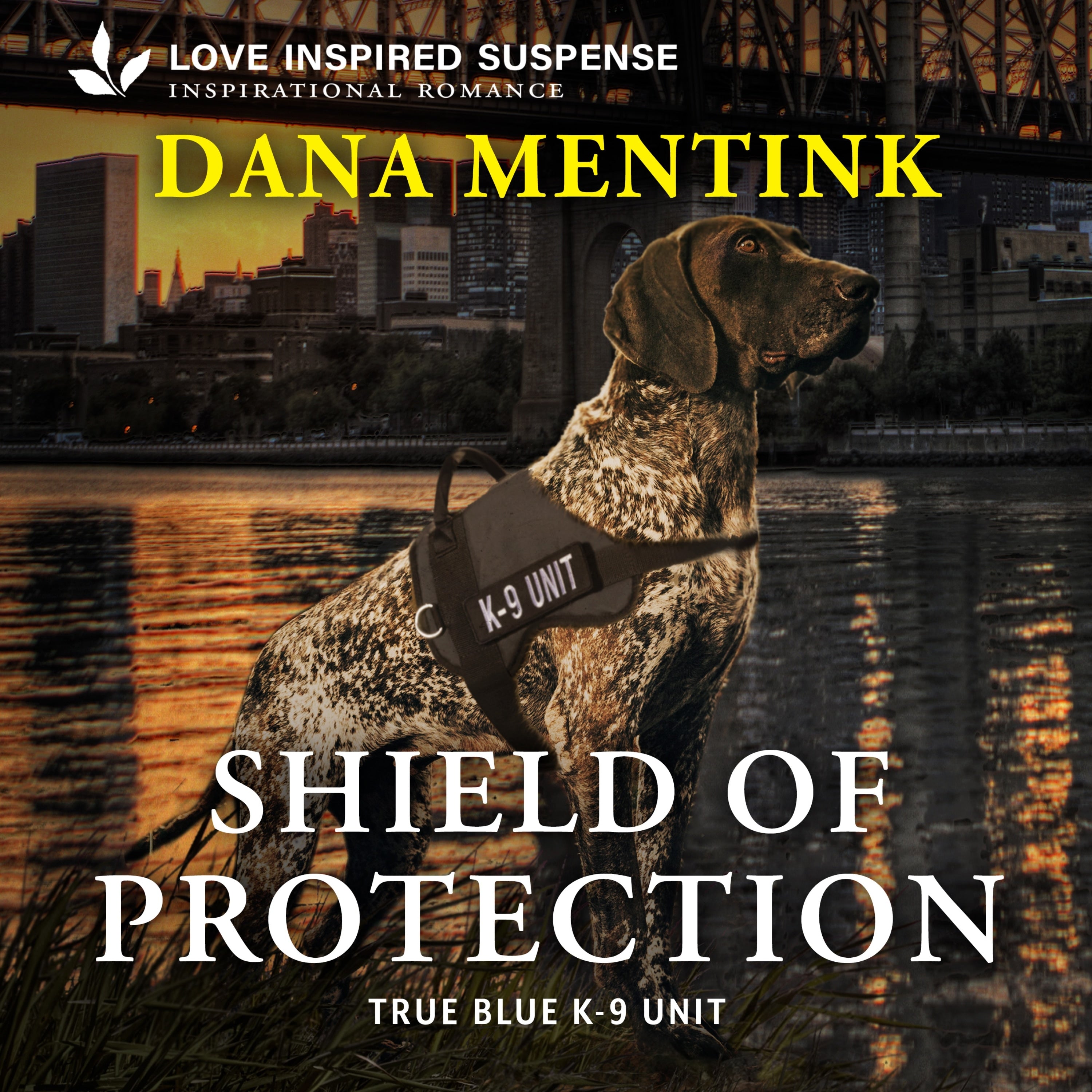 Shield of Protection