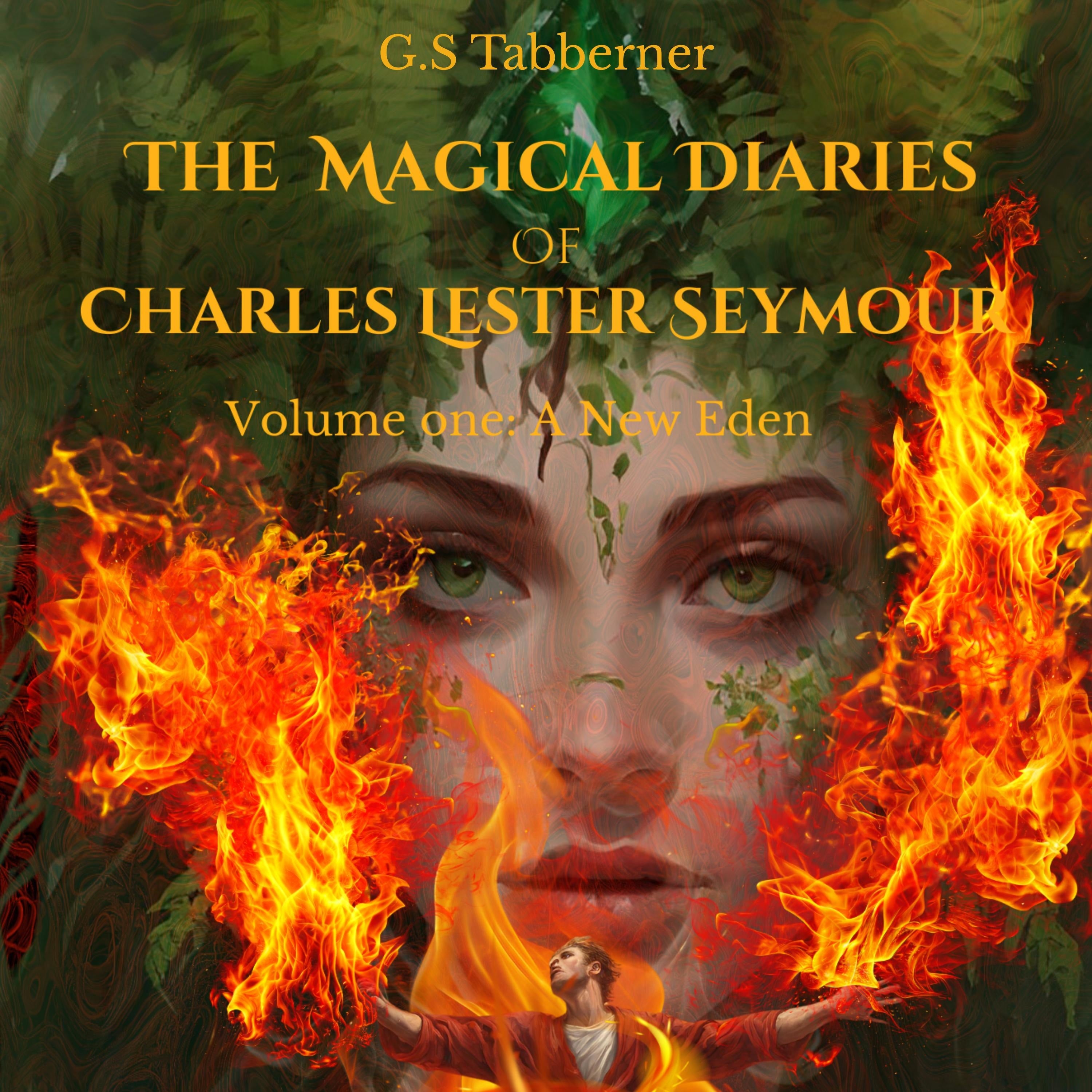 The Magical Diaries of Charles Lester Seymour: