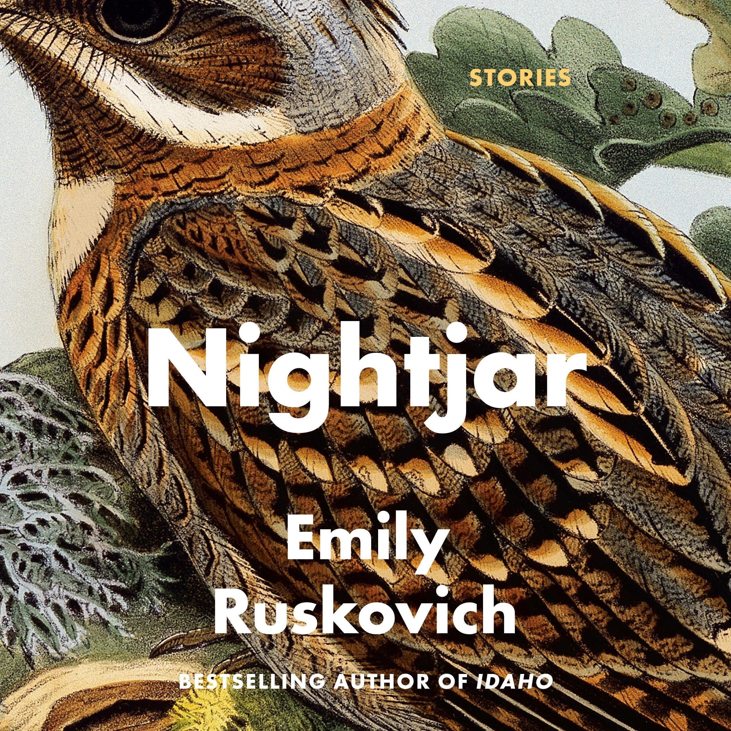 Nightjar