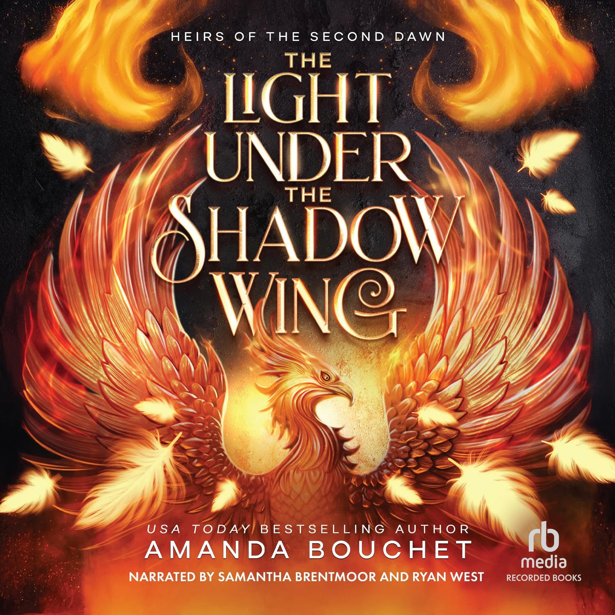 The Light Under the Shadow Wing