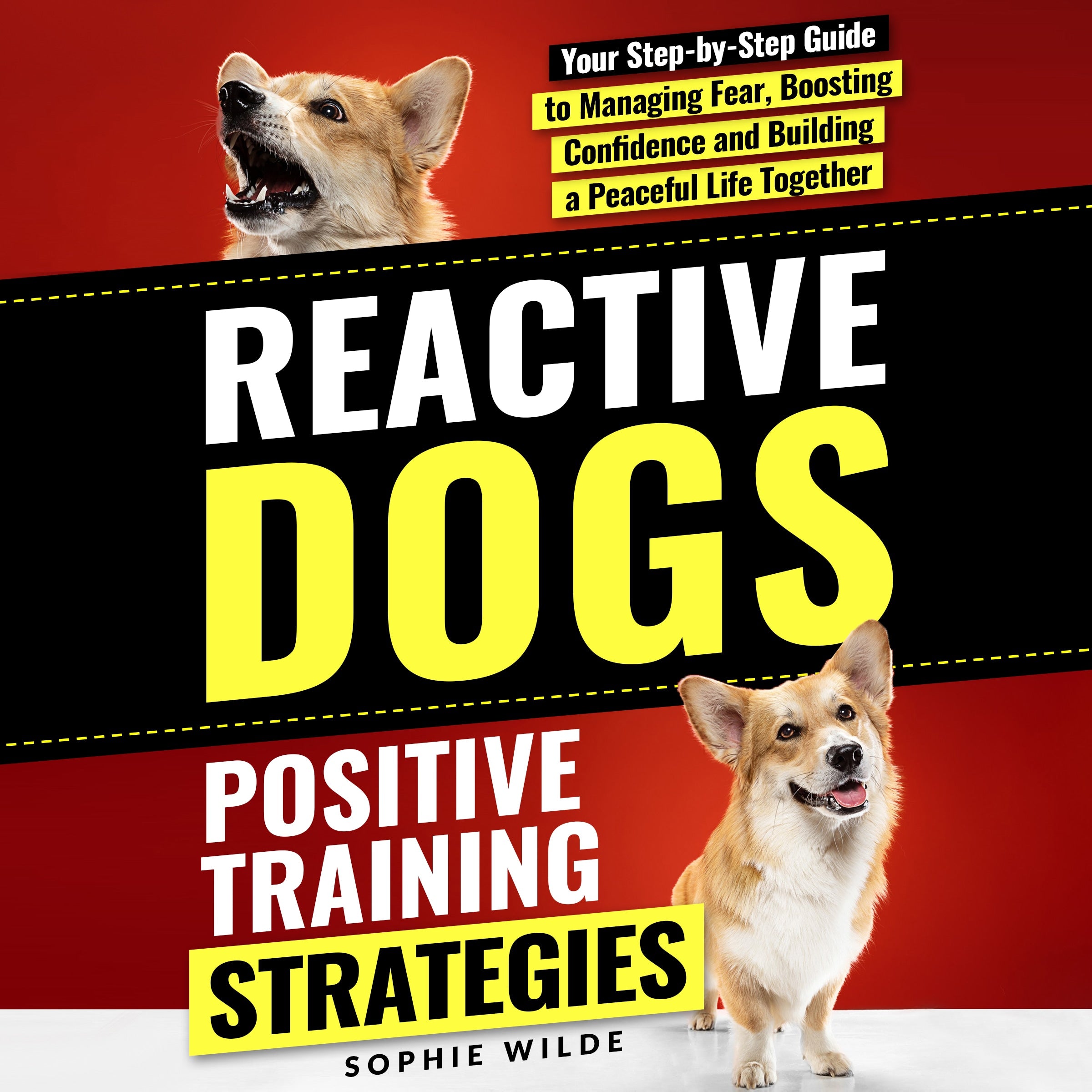 Reactive Dogs: Positive Training Strategies