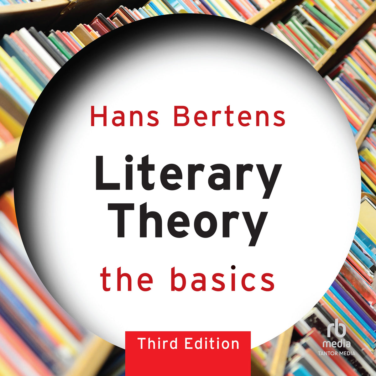 Literary Theory