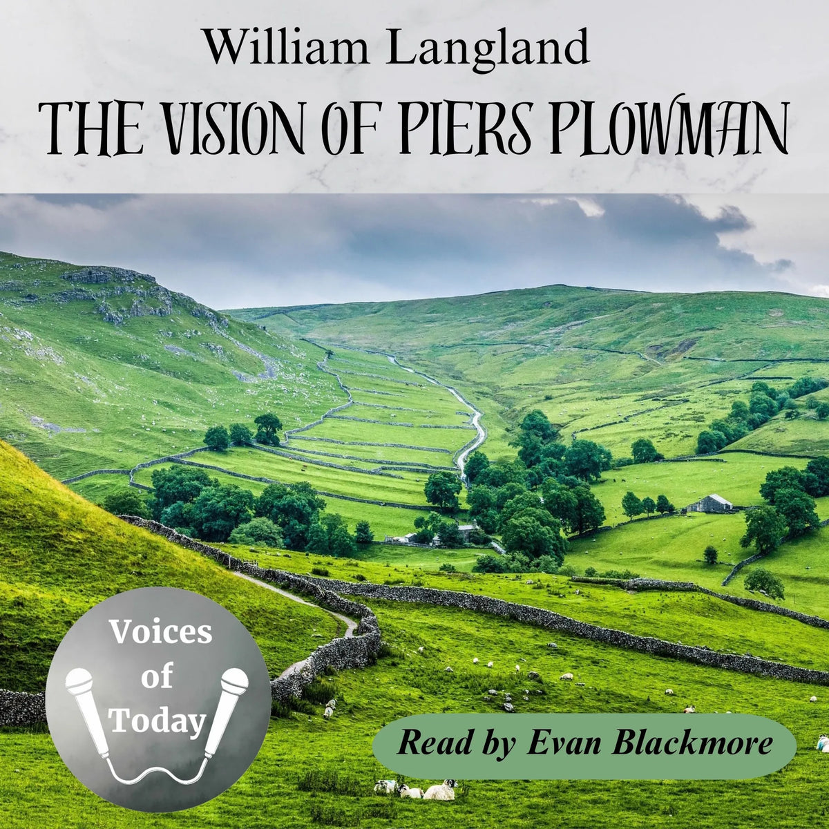 The Vision of Piers Plowman