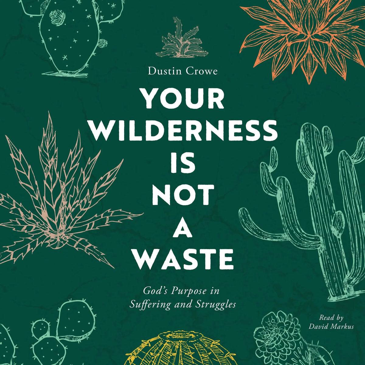 Your Wilderness Is Not a Waste