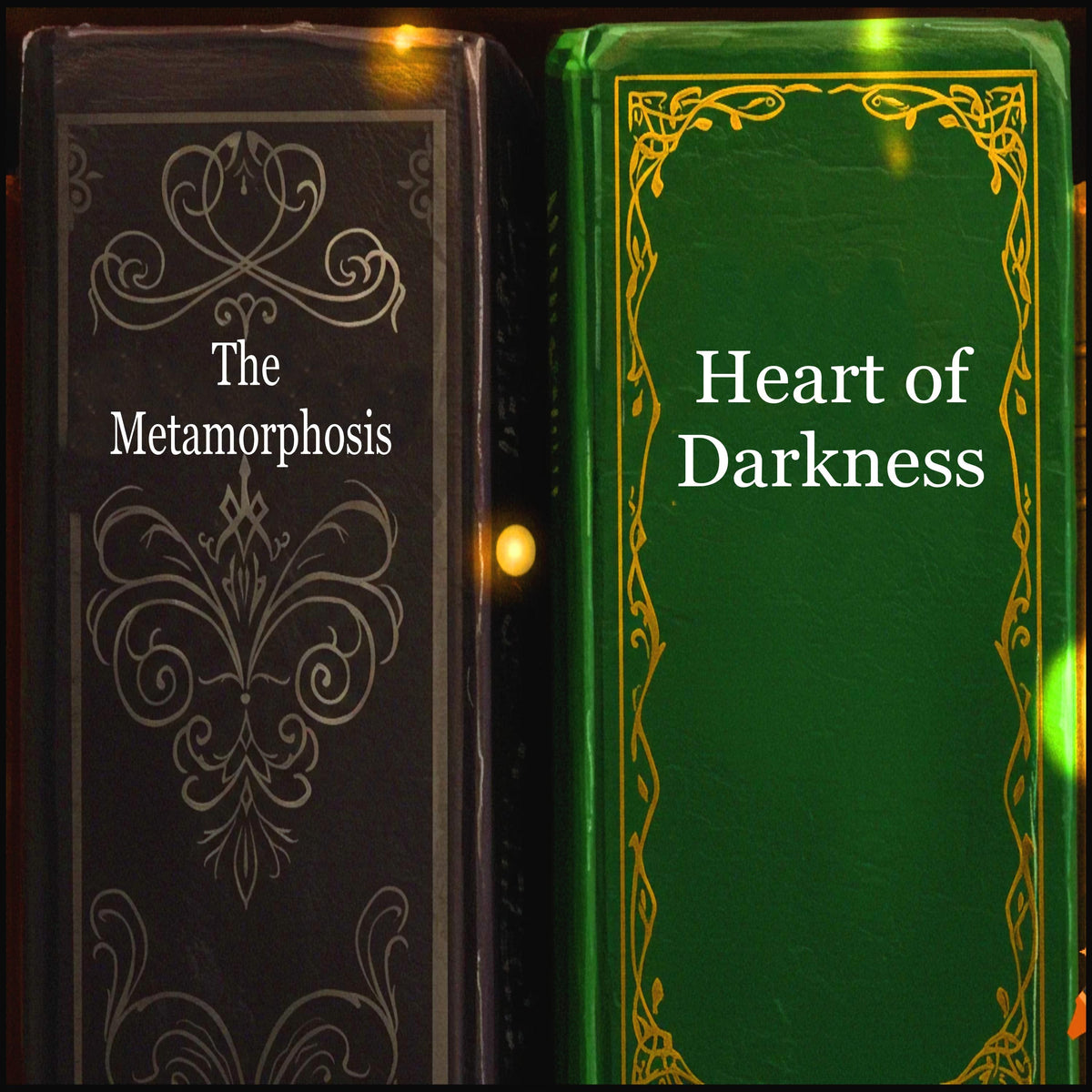 Heart of Darkness & The Metamorphosis