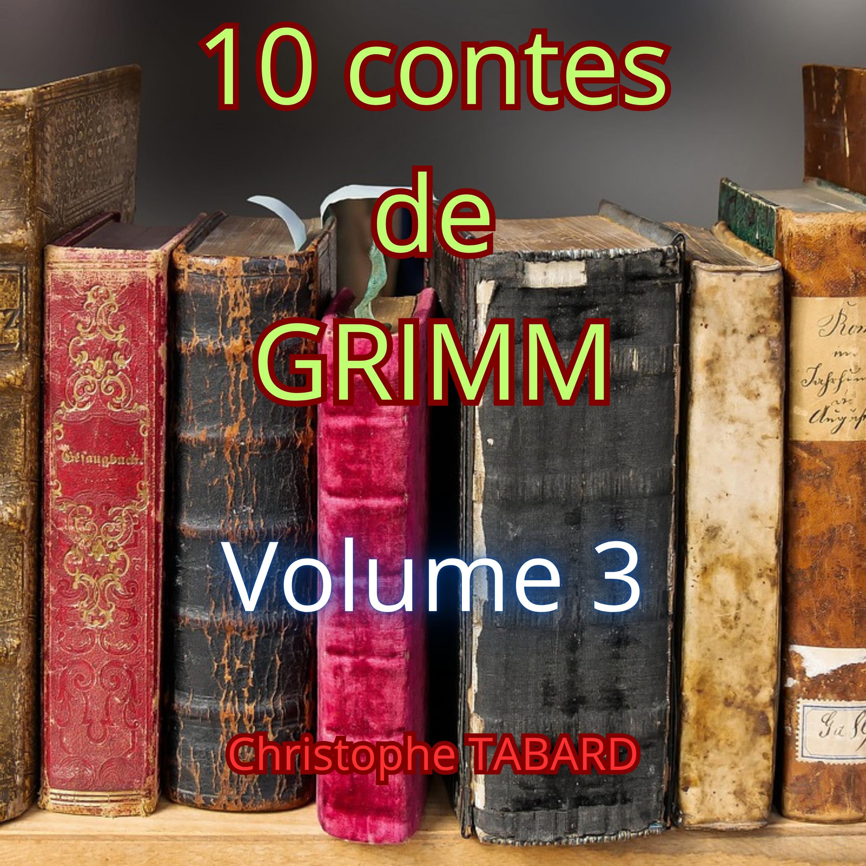 10 contes de Grimm Vol. 3
