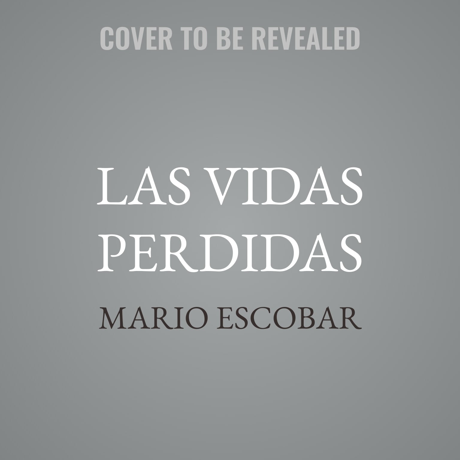 Las vidas perdidas