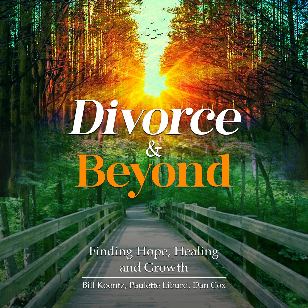 Divorce & Beyond