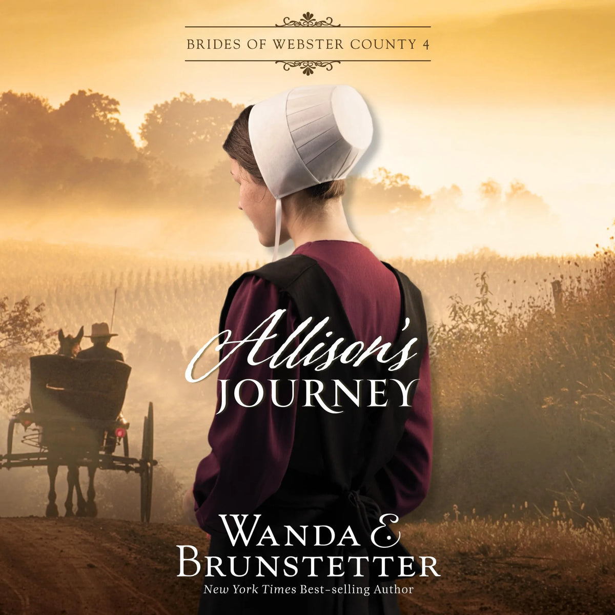 Allison's Journey