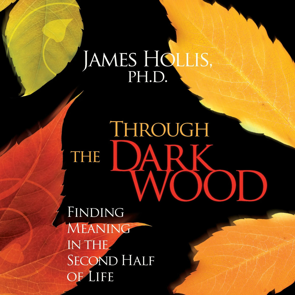 Through the Dark Wood