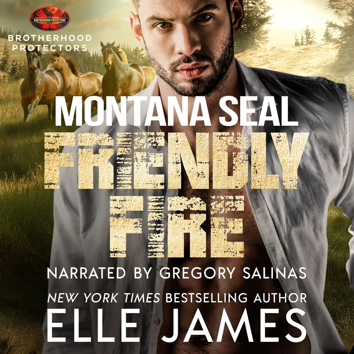 MONTANA SEAL FRIENDLY FIRE