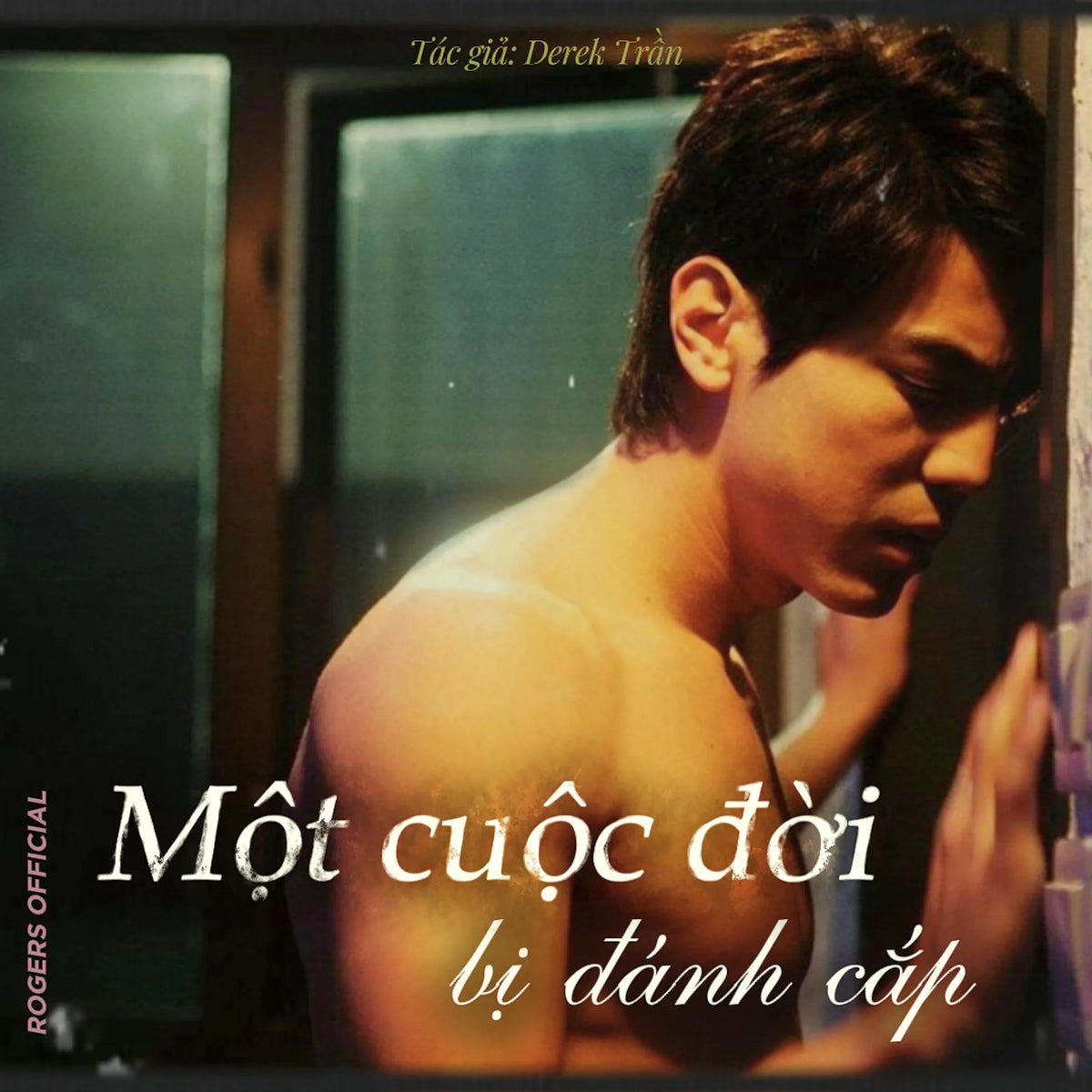 Một Cuộc Đời Bị Đánh Cắp