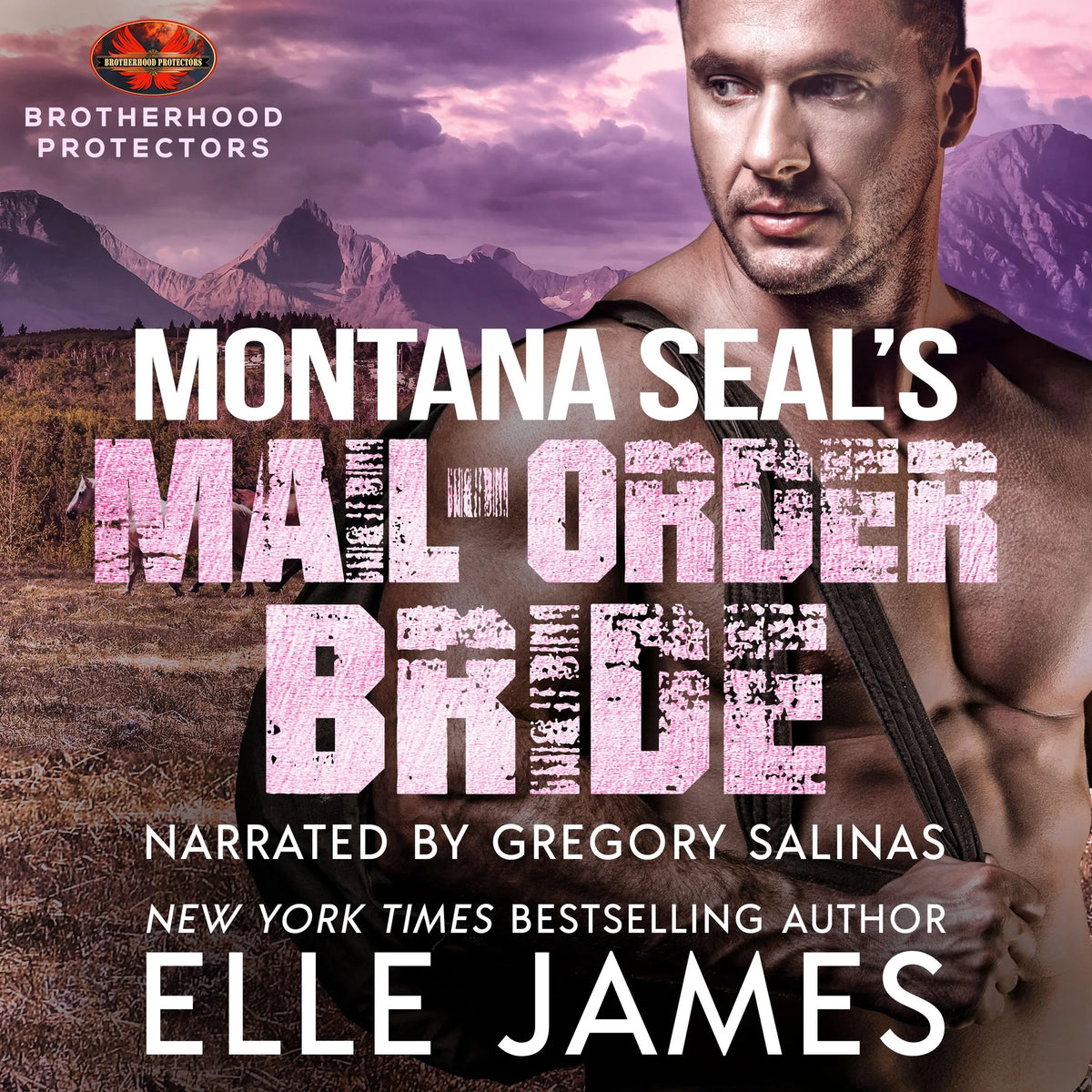 MONTANA SEAL's MAIL-ORDER BRIDE