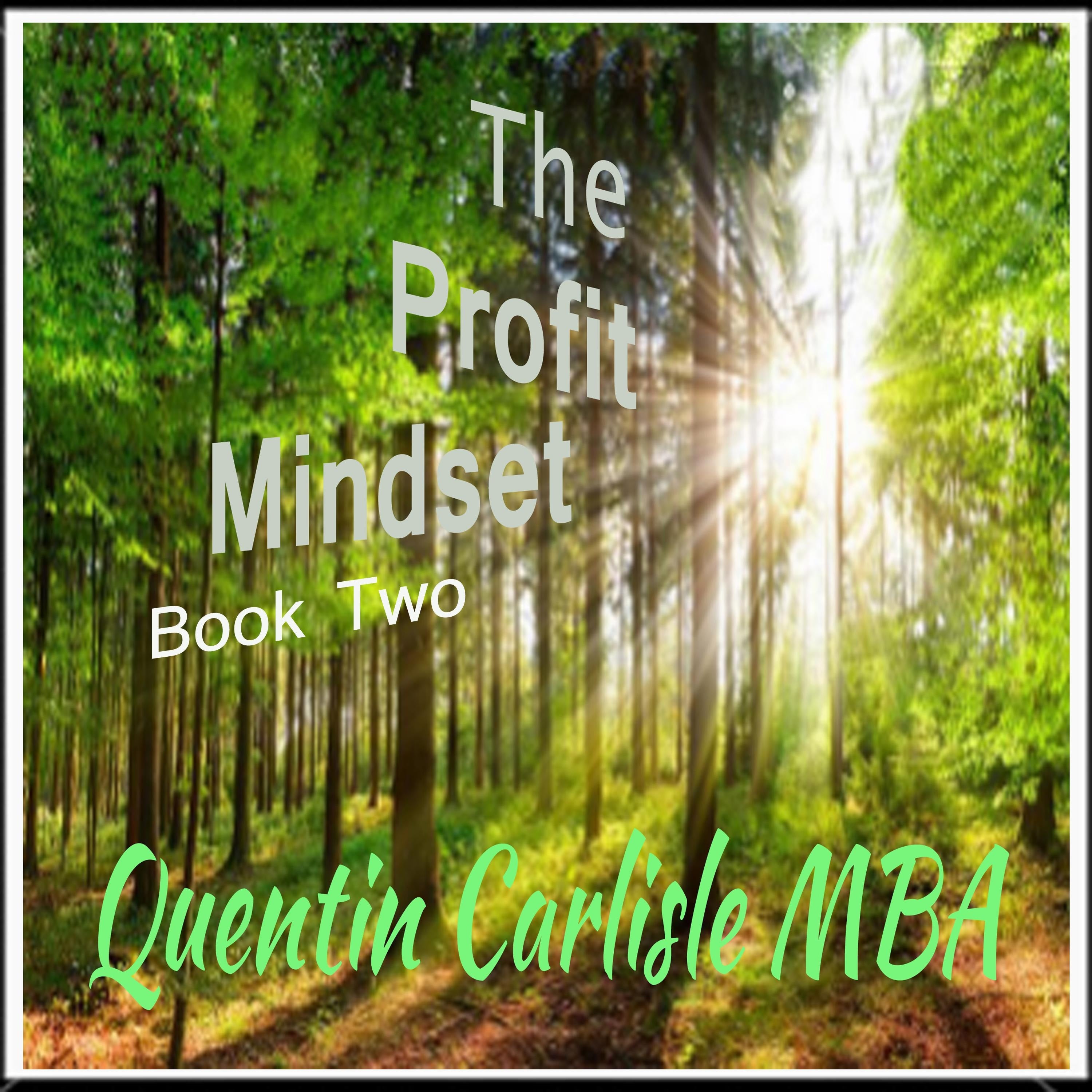 The Profit Mindset
