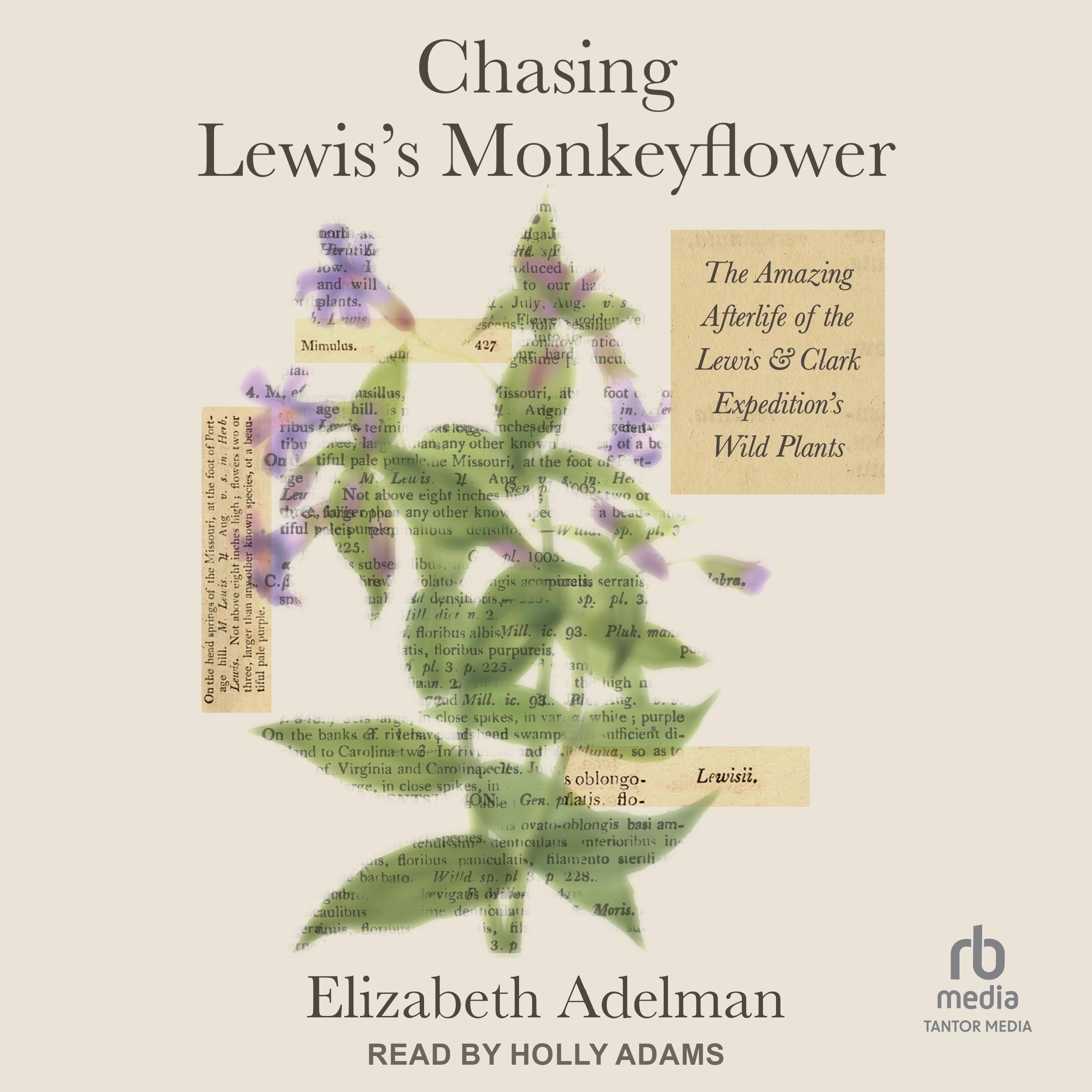 Chasing Lewis's Monkeyflower