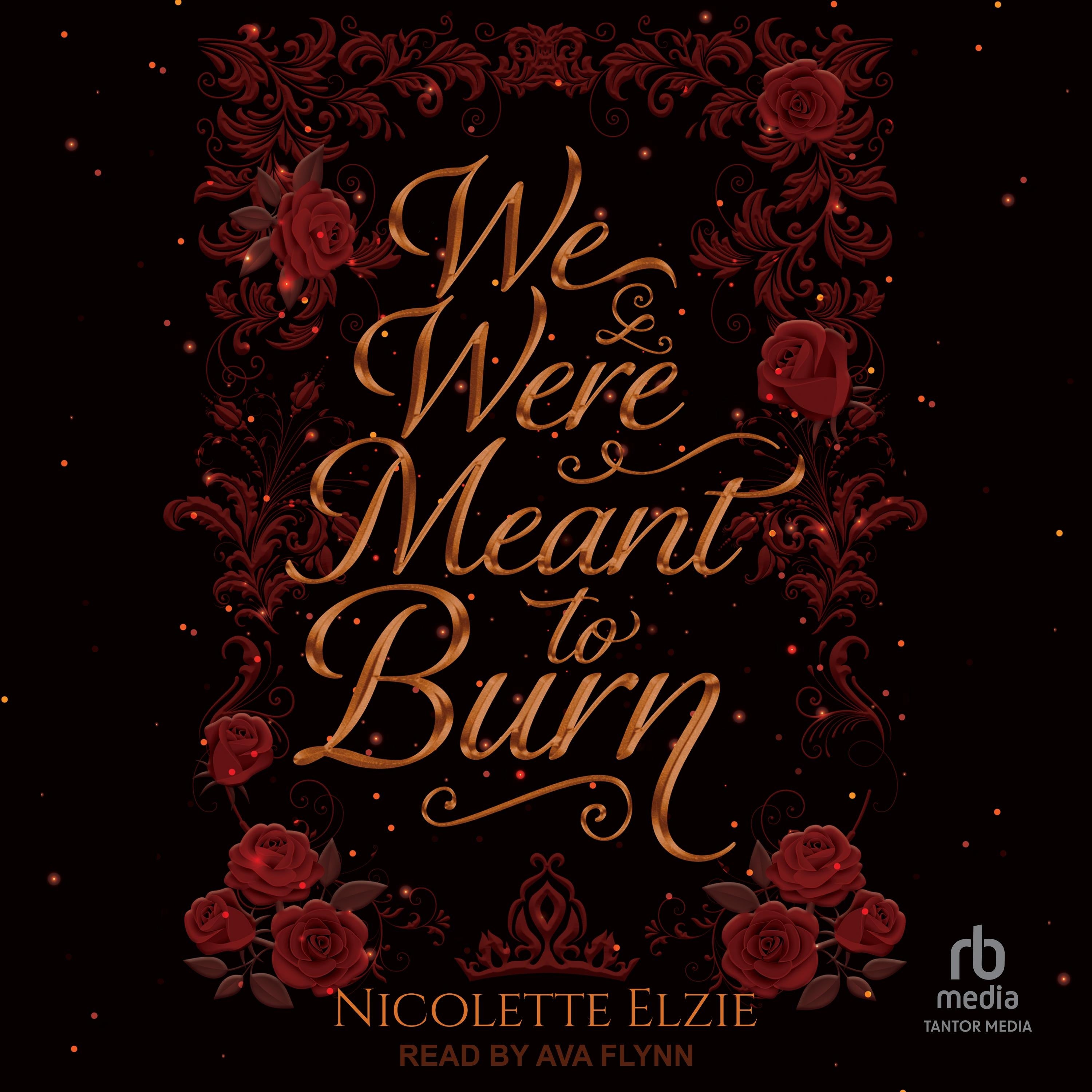We Were Meant to Burn