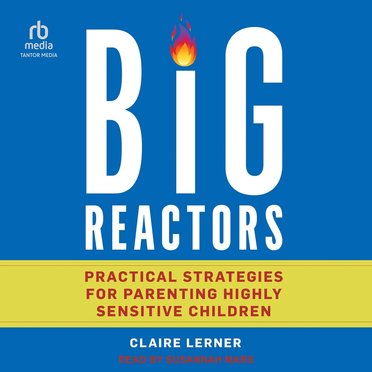 Big Reactors