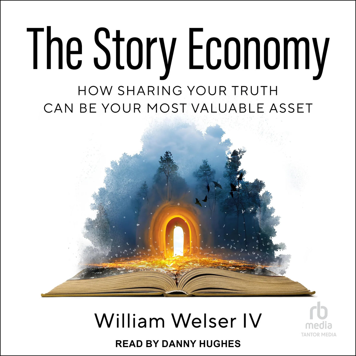 The Story Economy