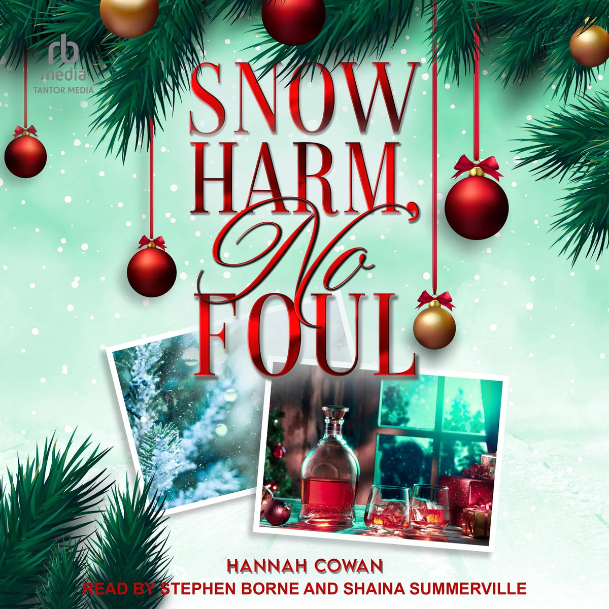 Snow Harm, No Foul