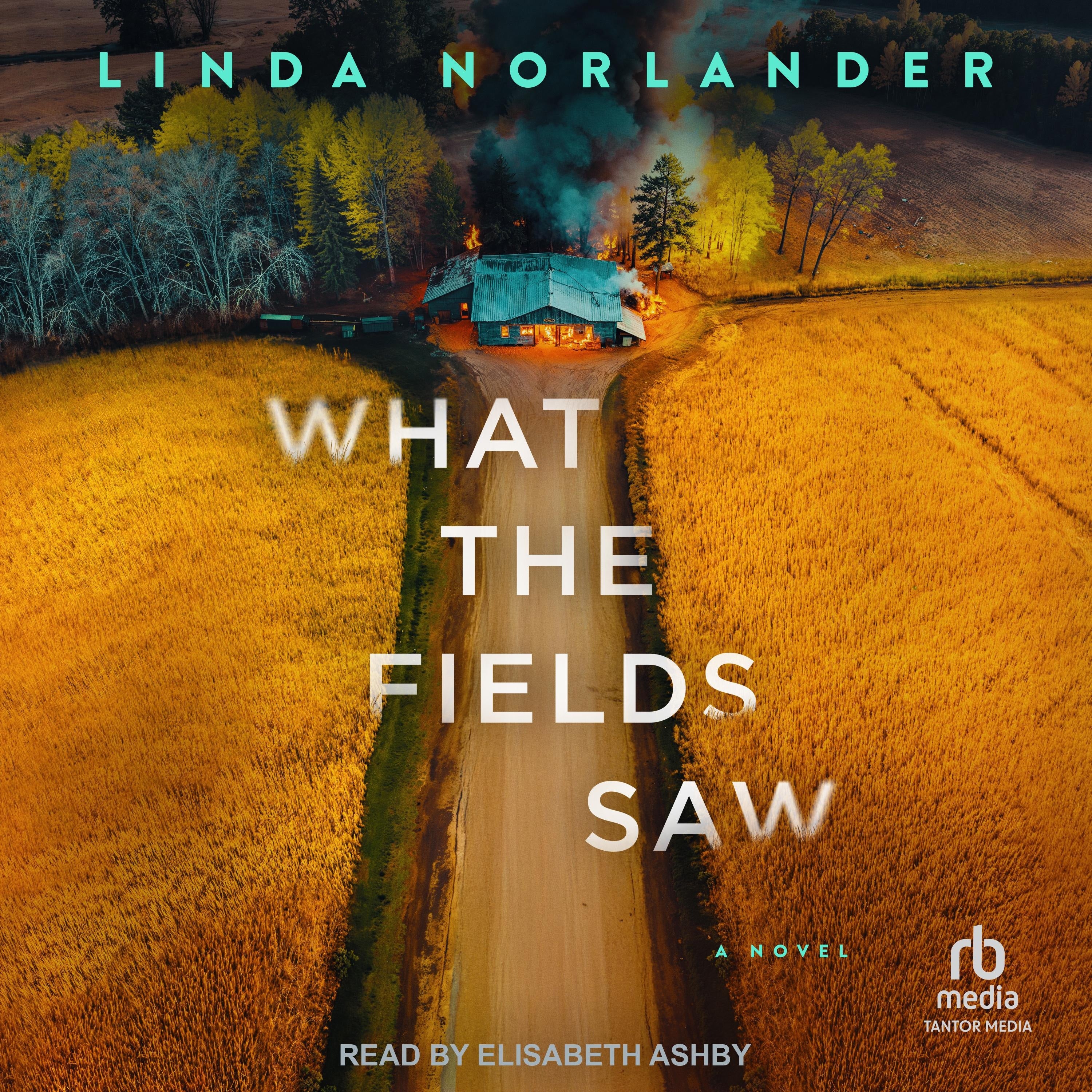 What the Fields Saw