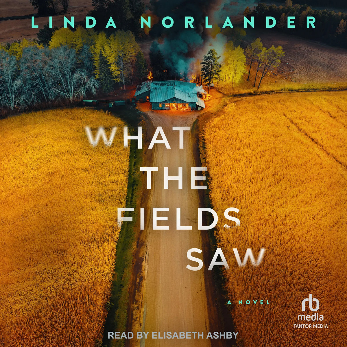 What the Fields Saw