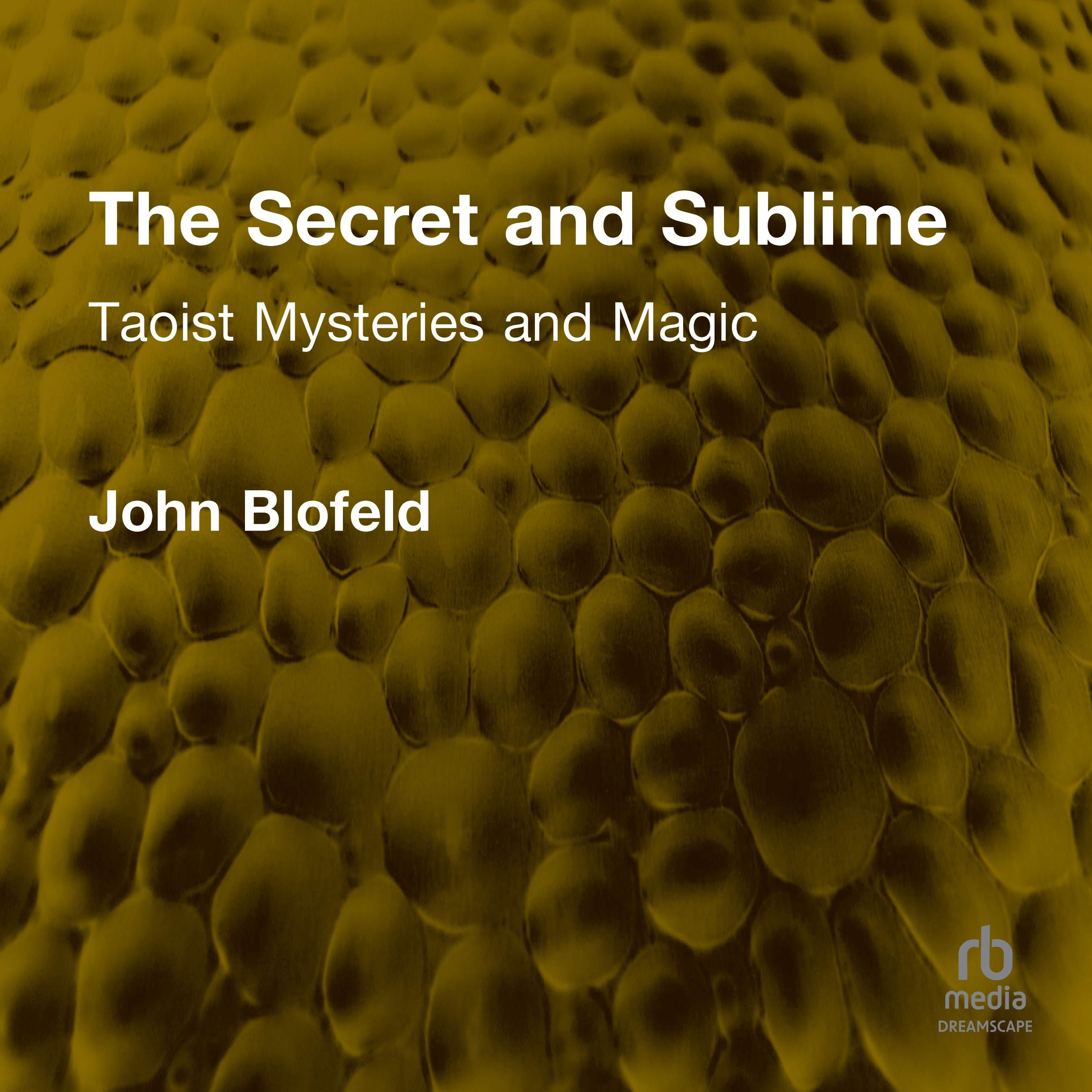 The Secret and Sublime