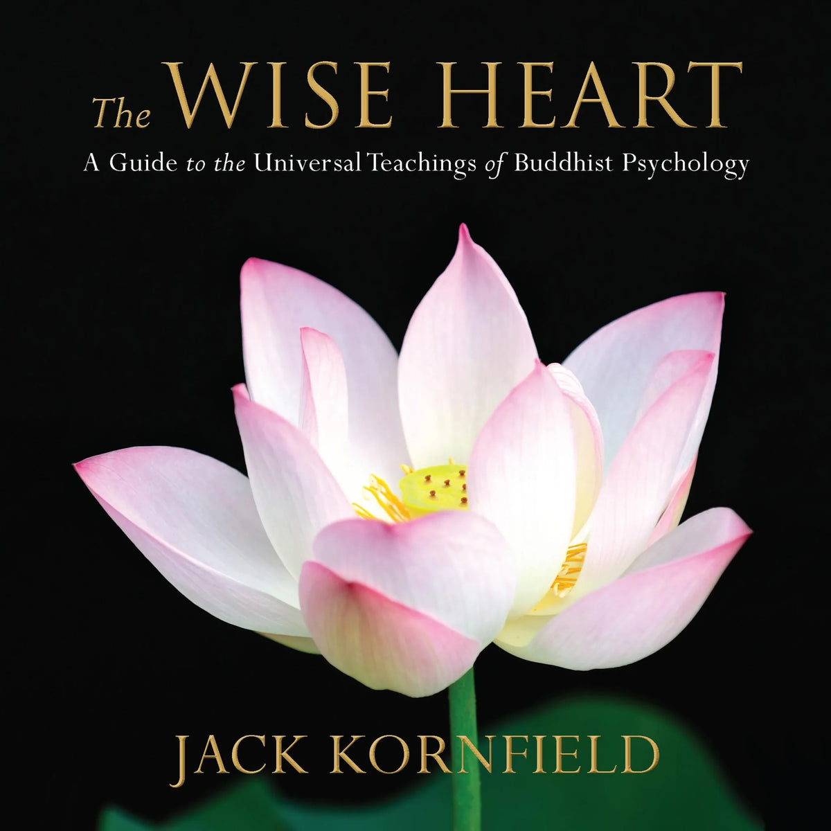 The Wise Heart