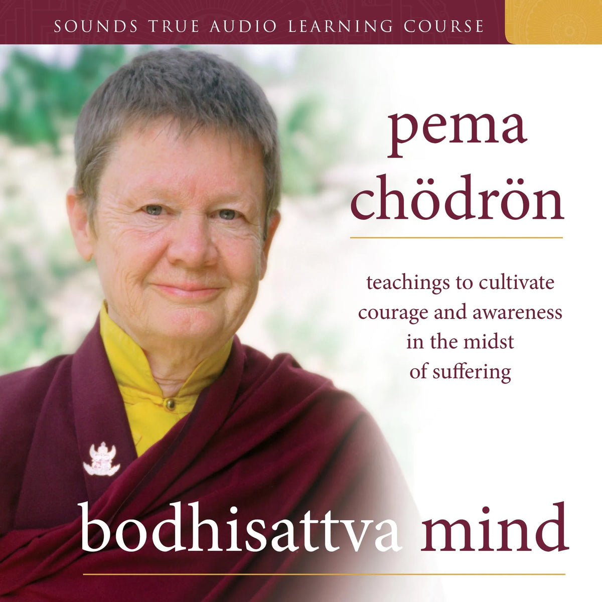 Bodhisattva Mind