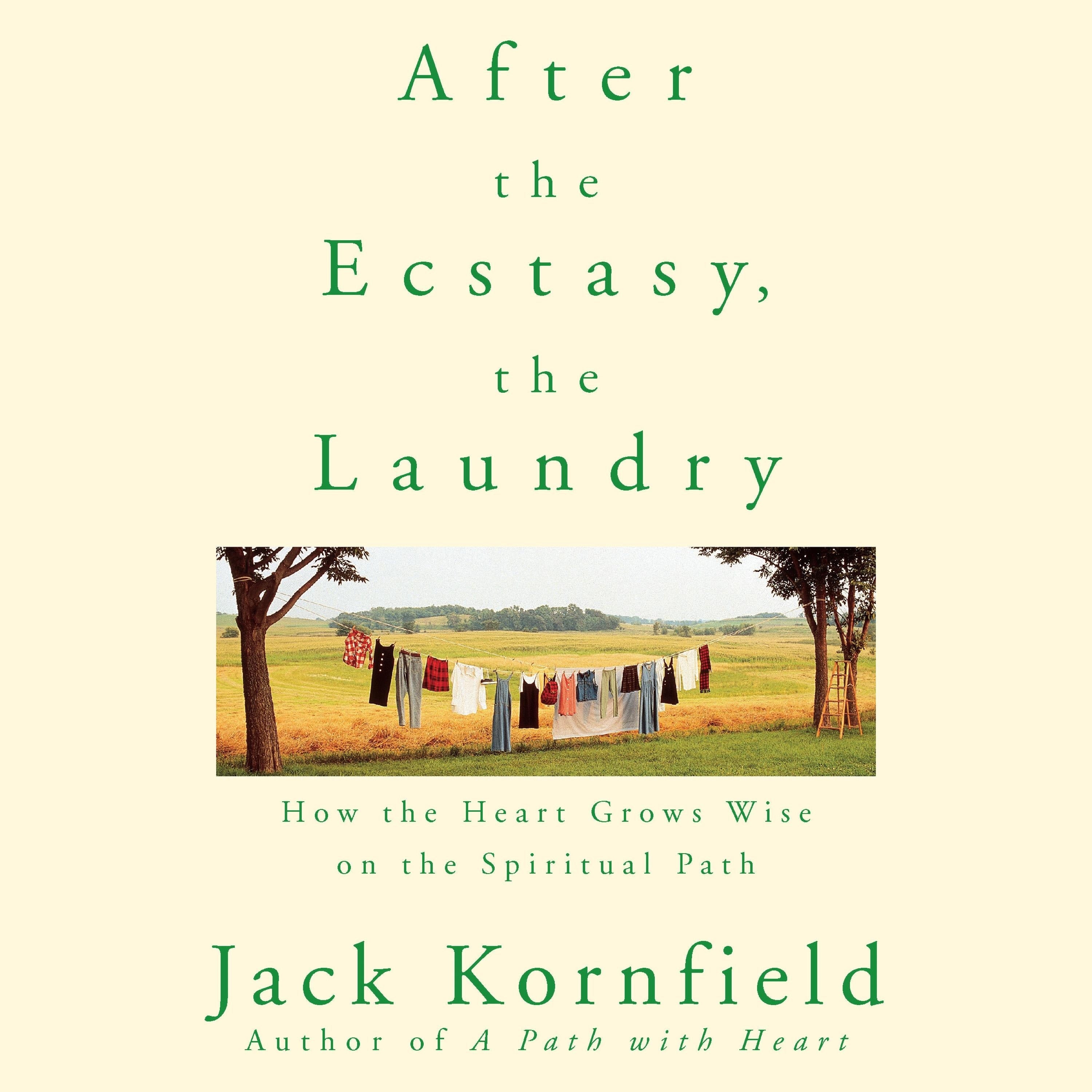 After the Ecstasy, the Laundry