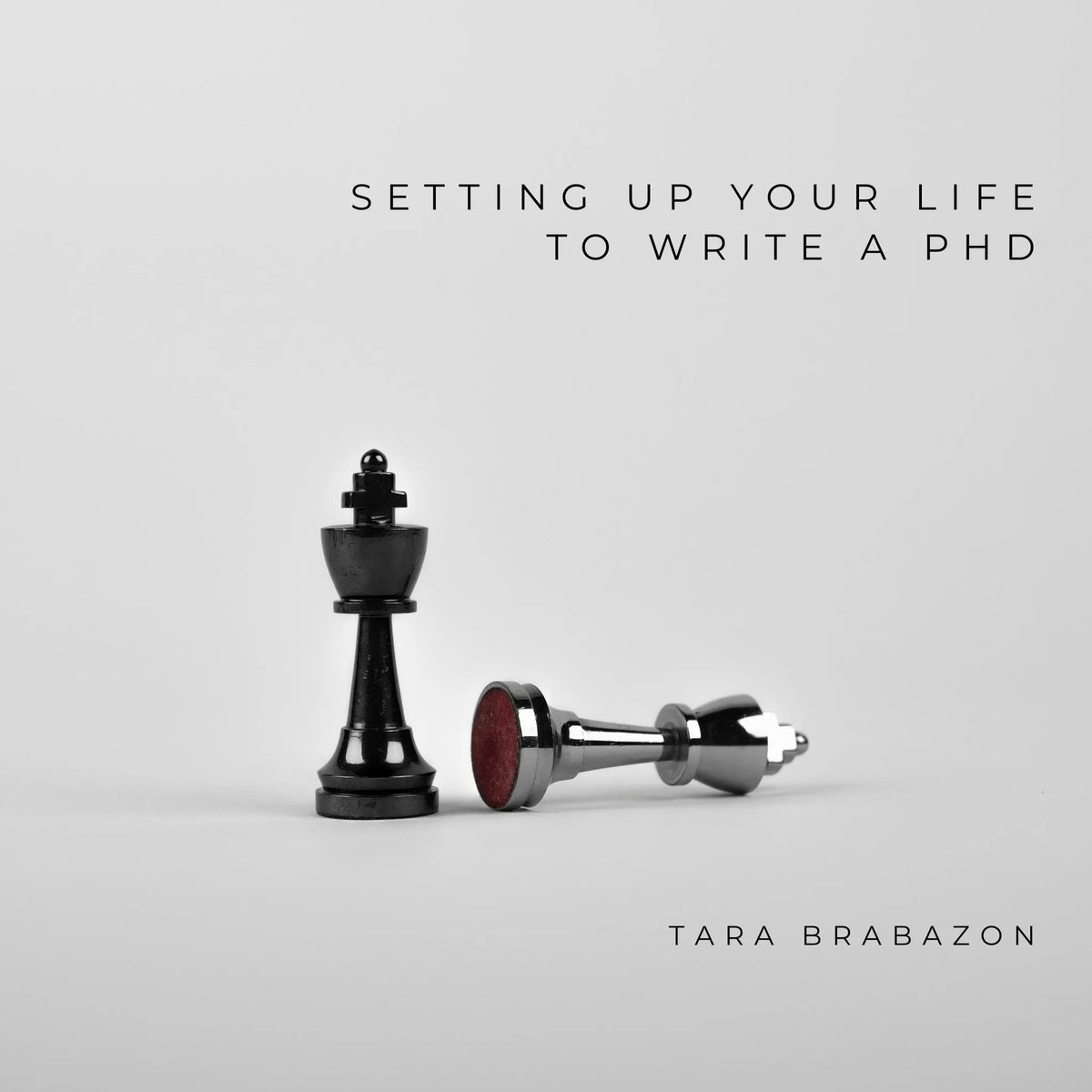 Setting up your life to write a PhD