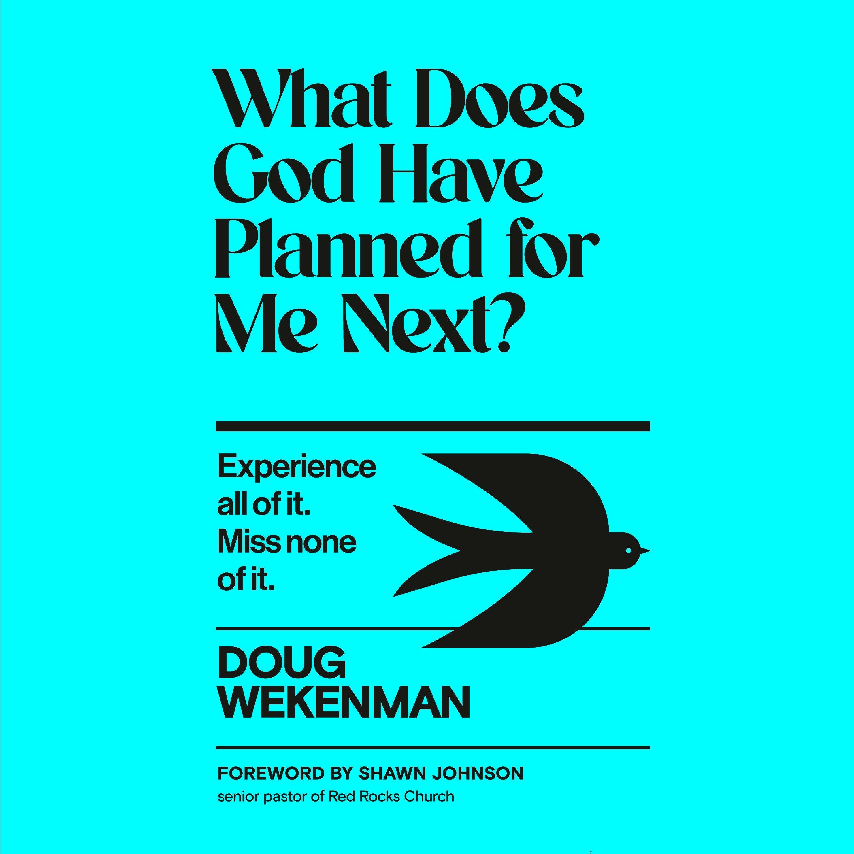 What Does God Have Planned for Me Next?