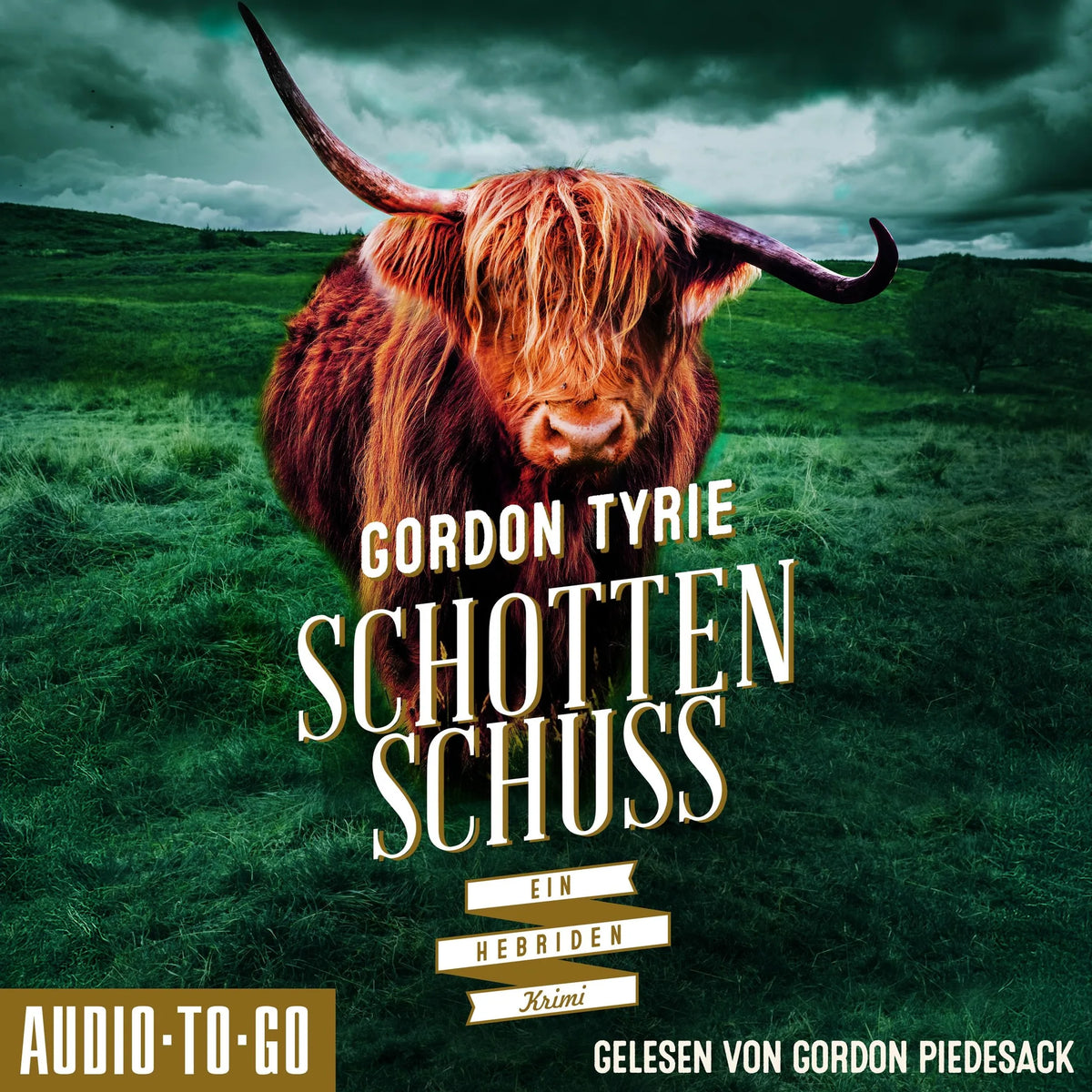 Schottenschuss - Hynch ermittelt, Band 4 (ungekürzt)