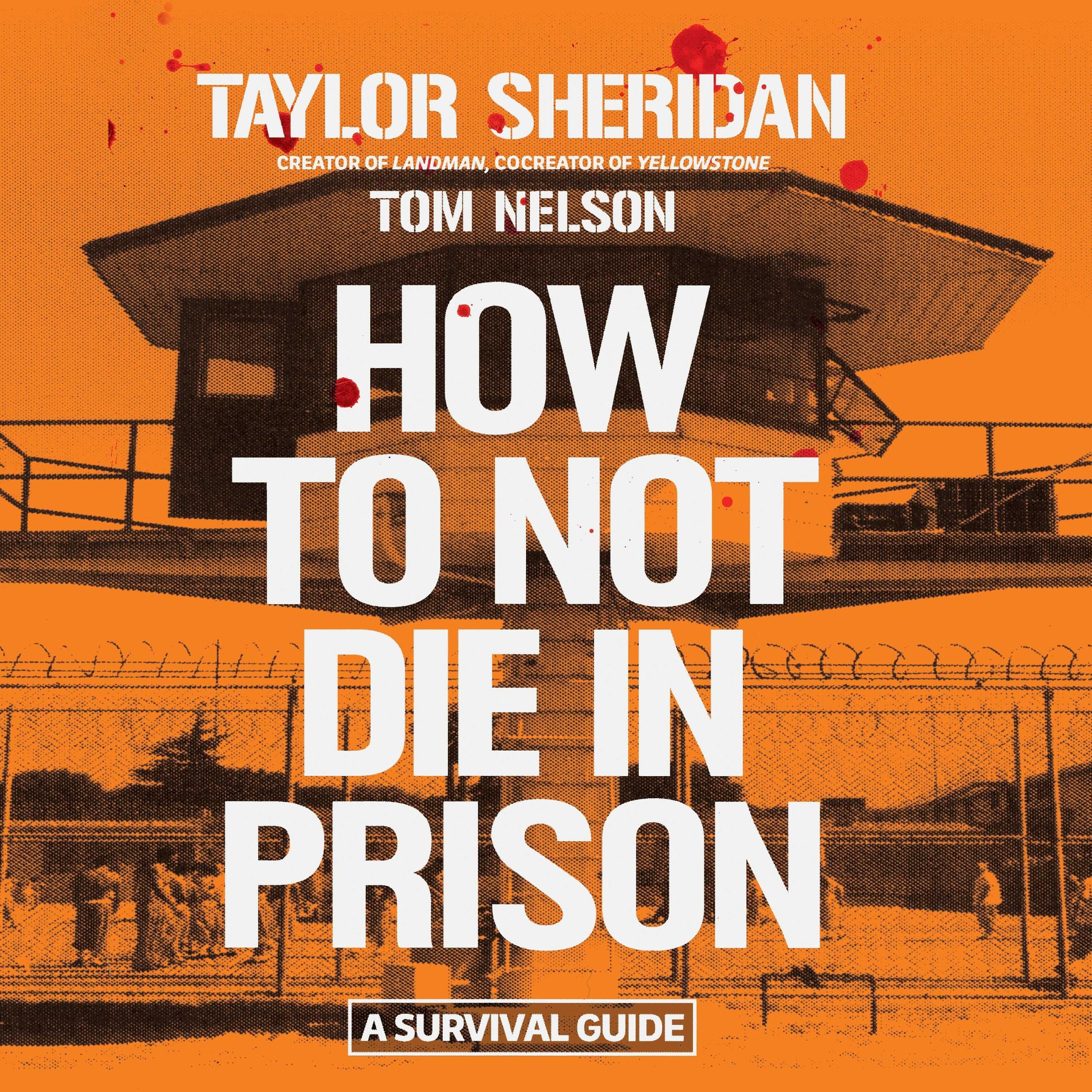 How to Not Die in Prison