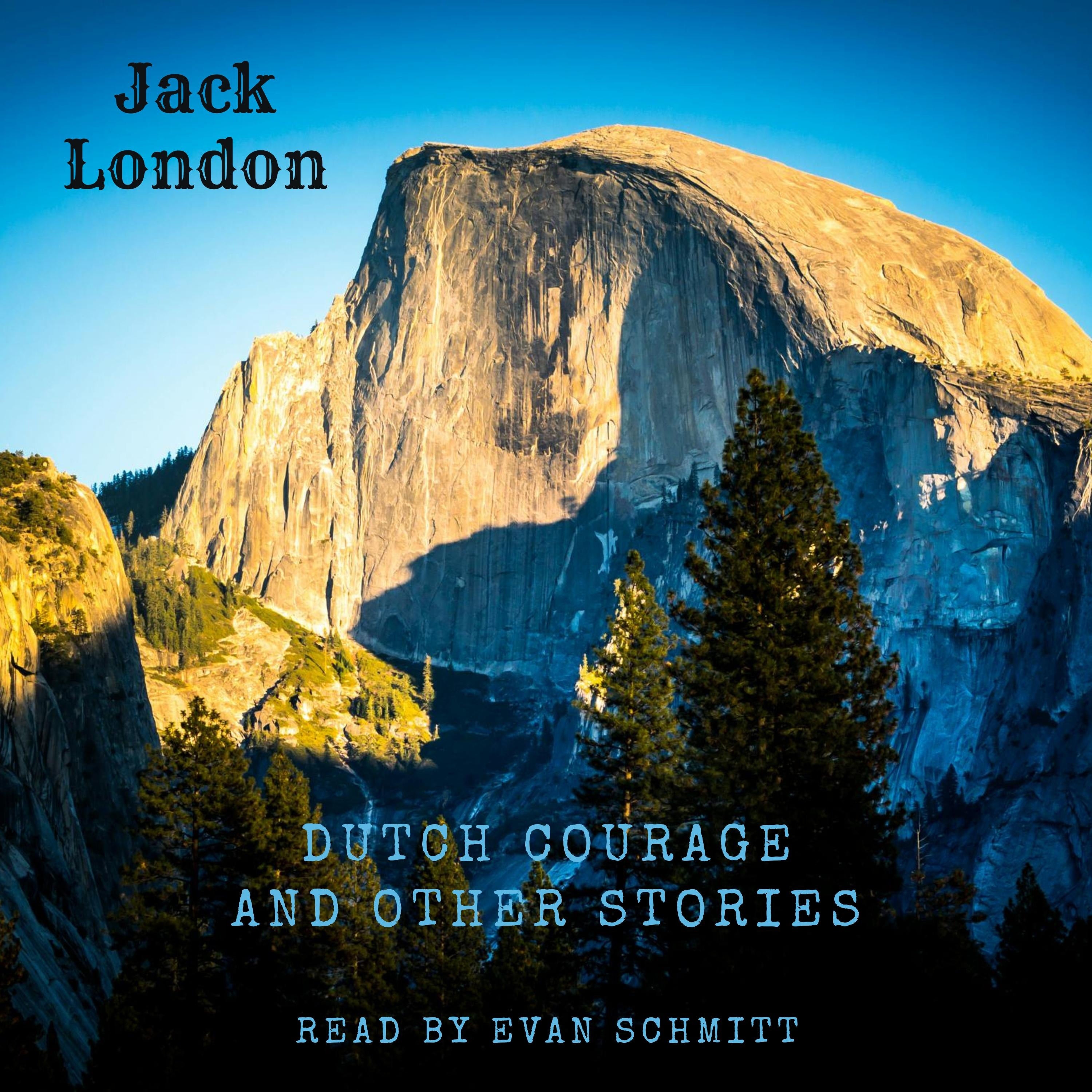 Dutch Courage and Other Stories