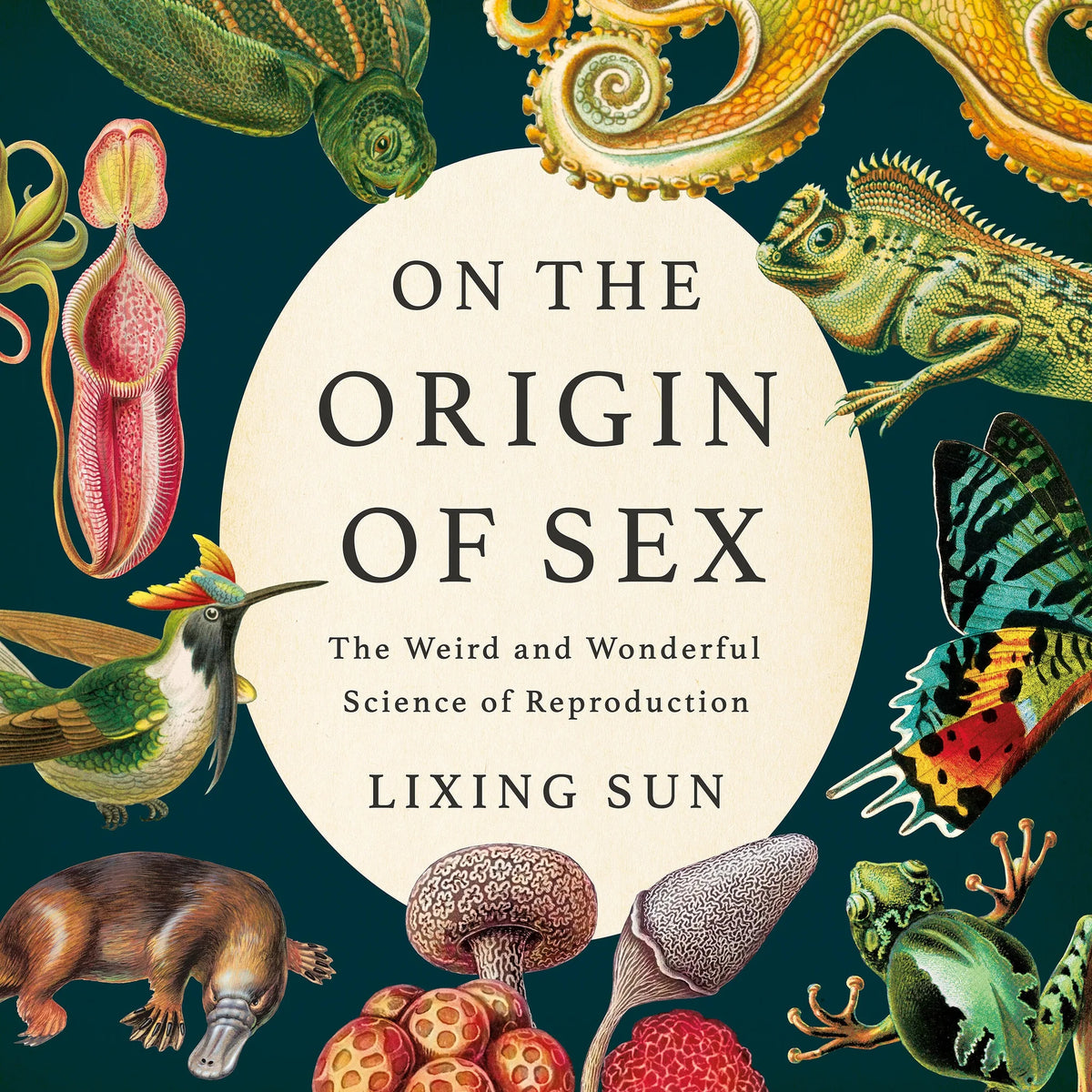 On the Origin of Sex