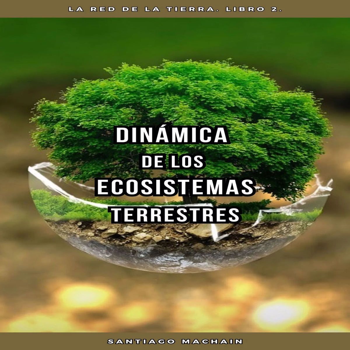 Dinámica de los Ecosistemas Terrestres