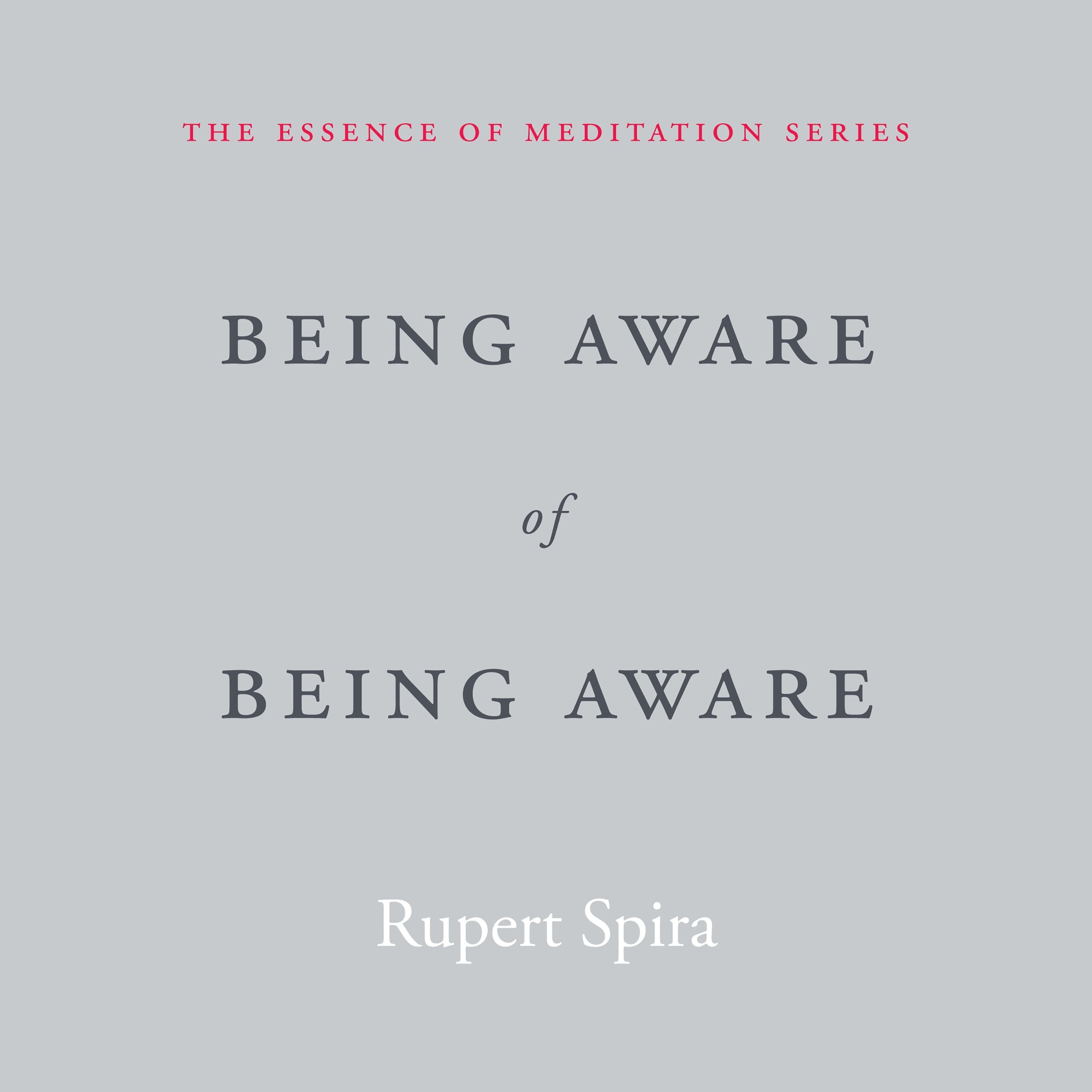 Being Aware of Being Aware