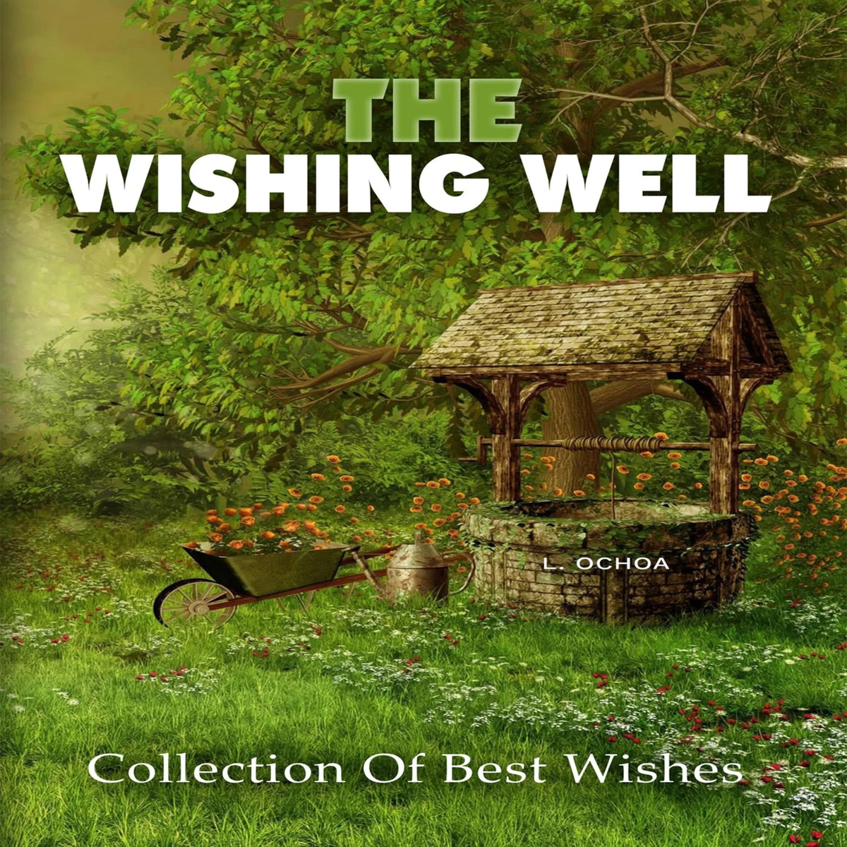 The Wishing Well