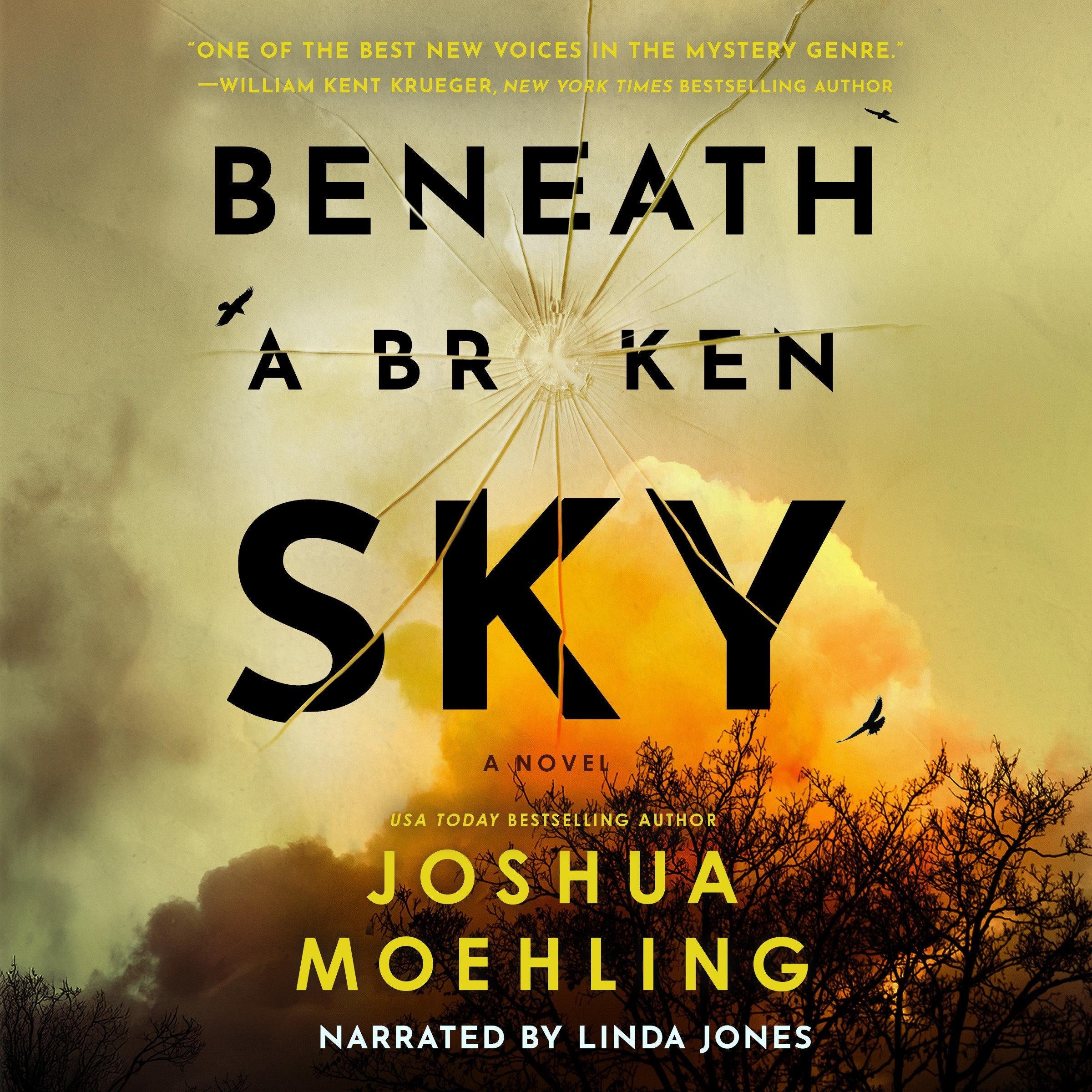 Beneath a Broken Sky