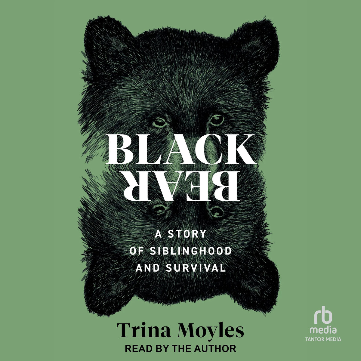 Black Bear