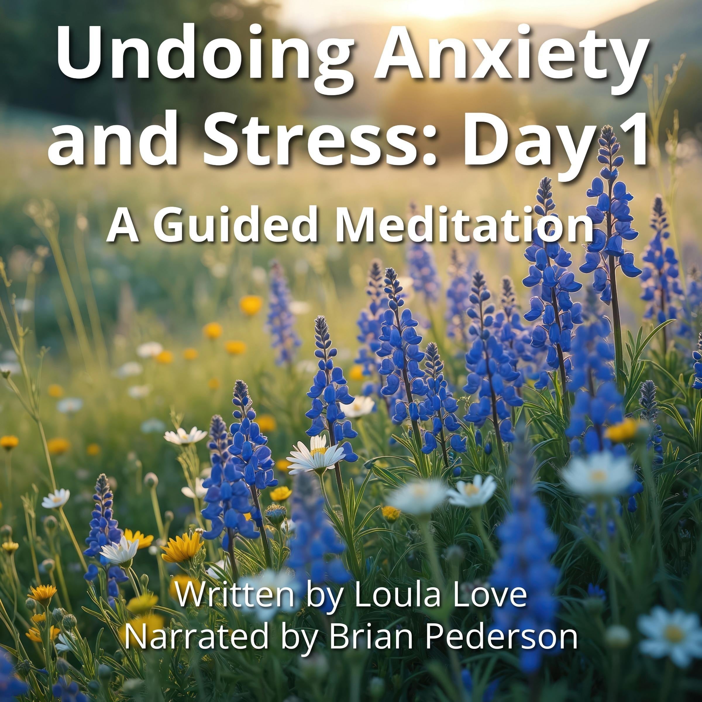 Undoing Anxiety and Stress: Day 1