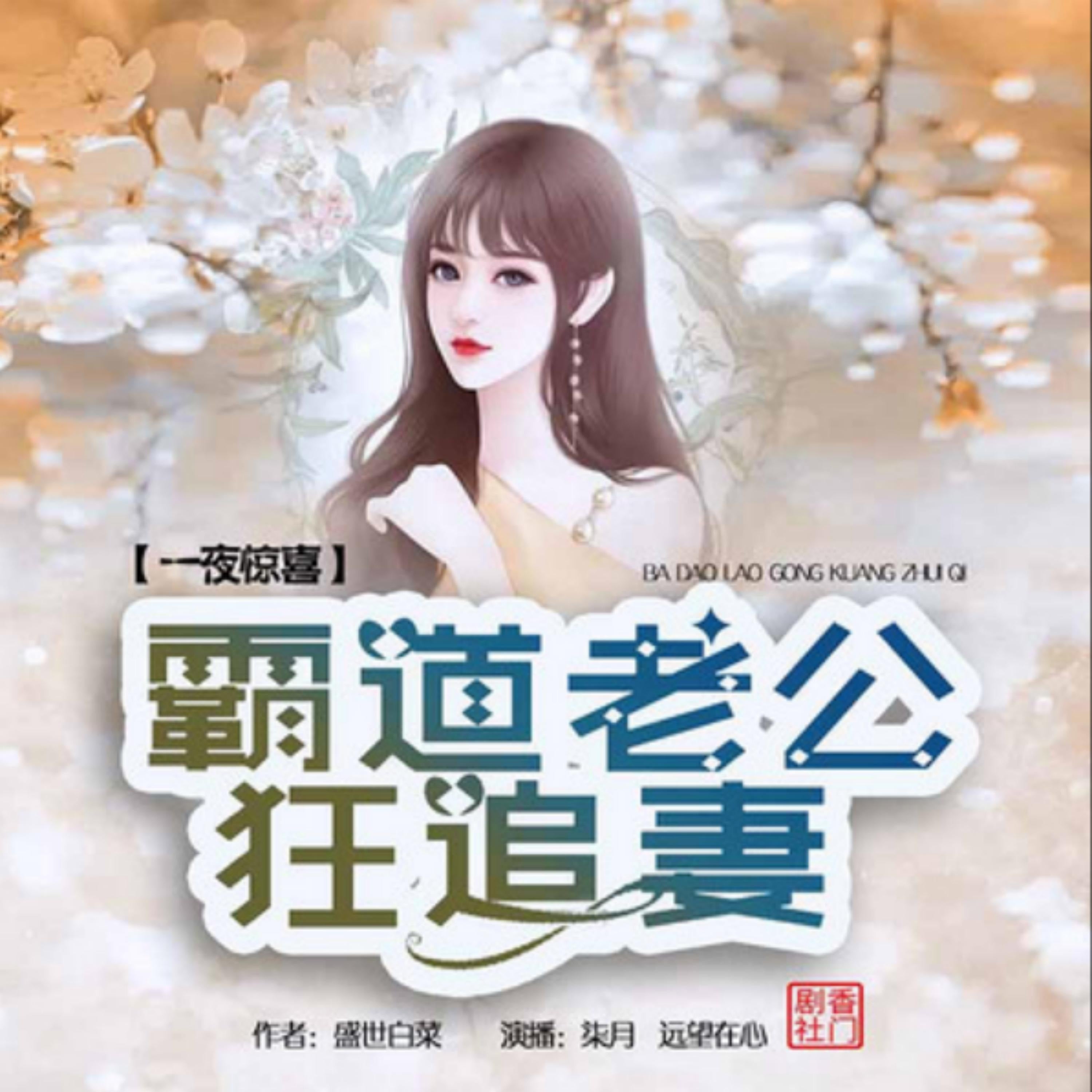 一夜惊喜：霸道老公狂追妻2