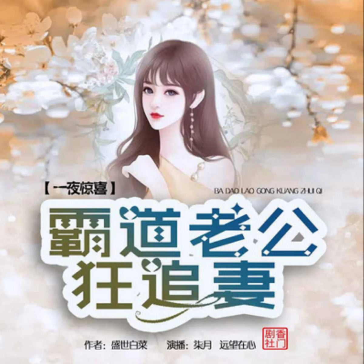 一夜惊喜：霸道老公狂追妻2