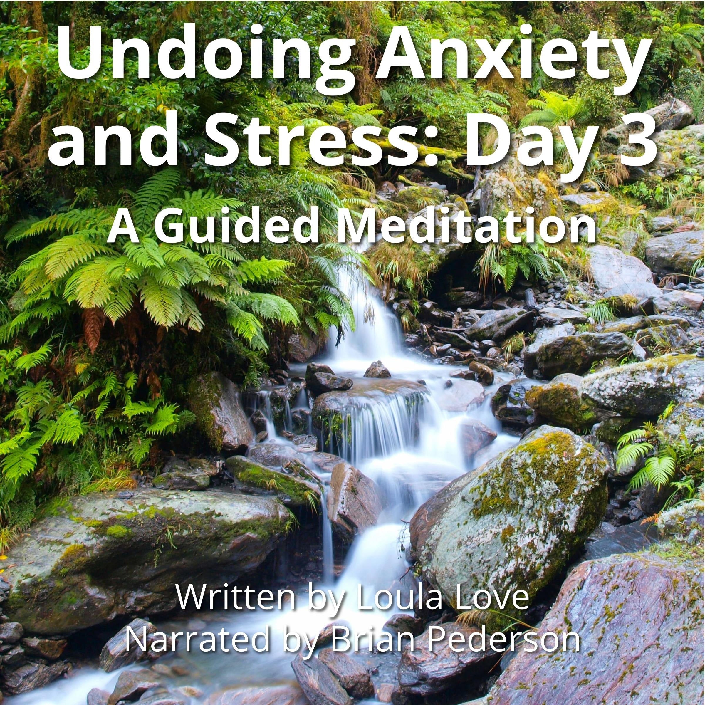 Undoing Anxiety and Stress: Day 3