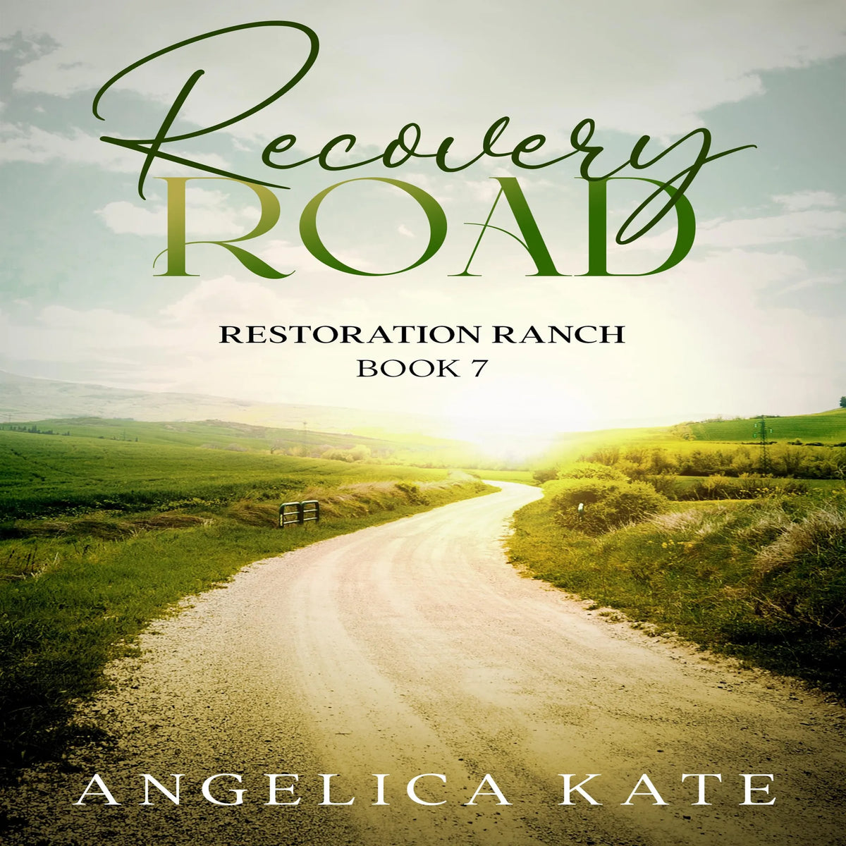 Recovery Road