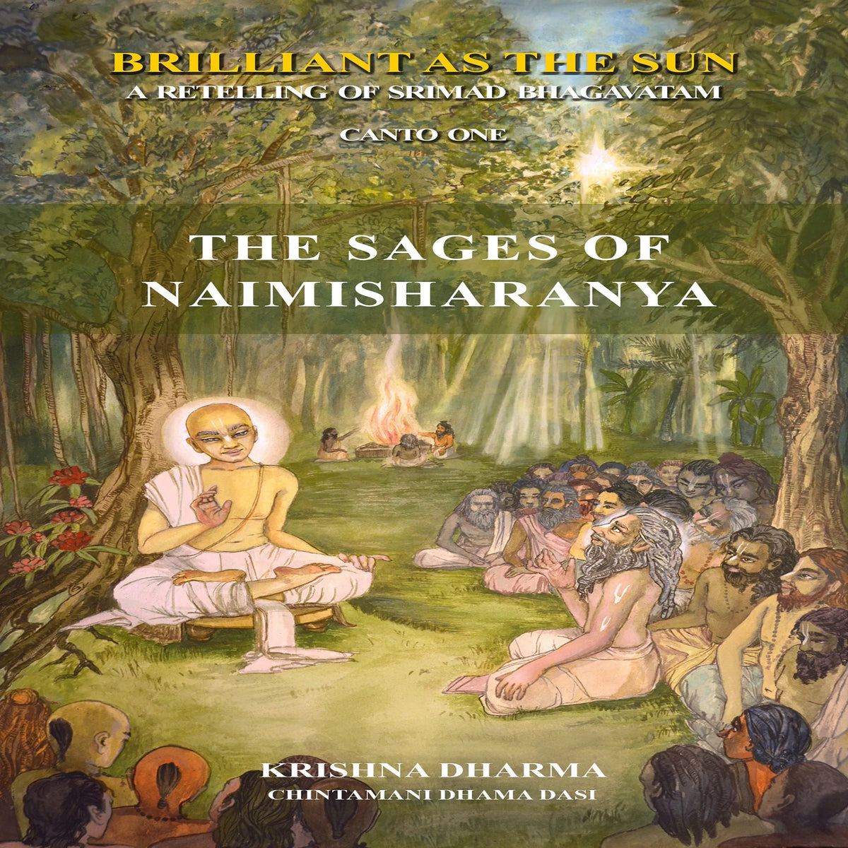 The Sages of Naimishiranya