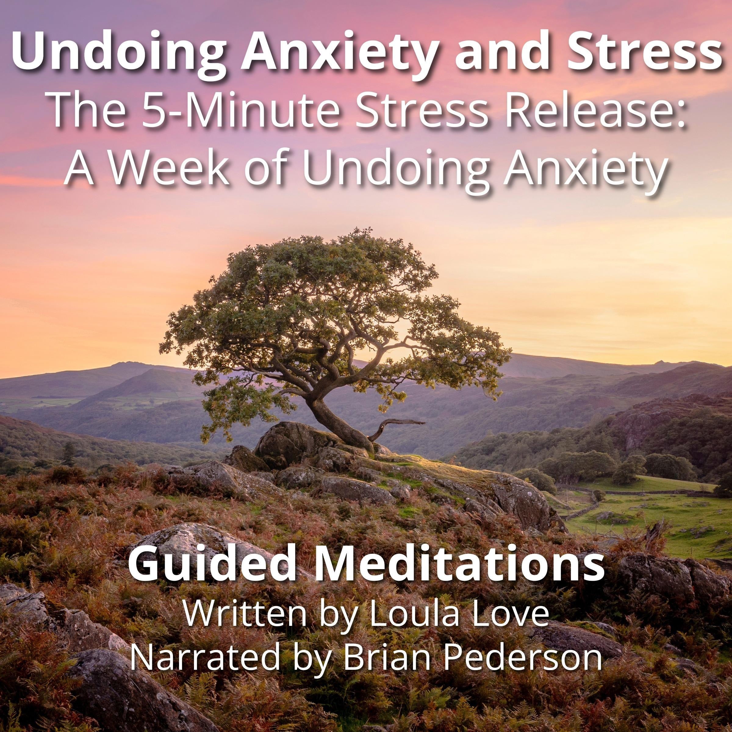 Undoing Anxiety and Stress: Guided Meditations