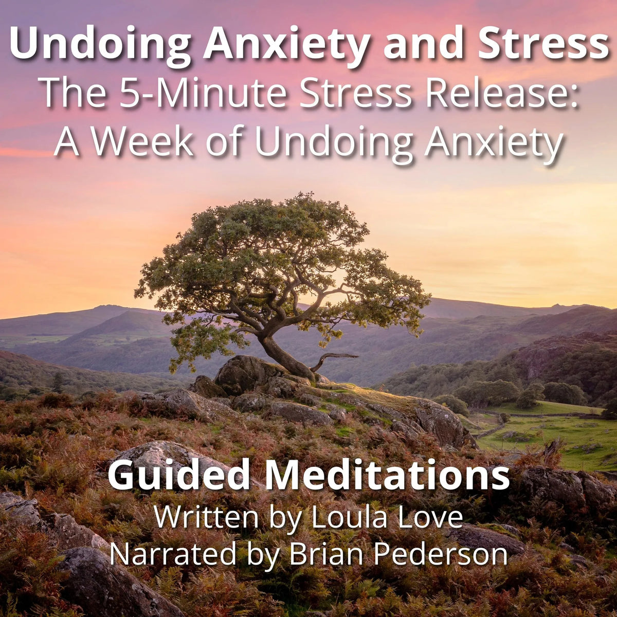 Undoing Anxiety and Stress: Guided Meditations